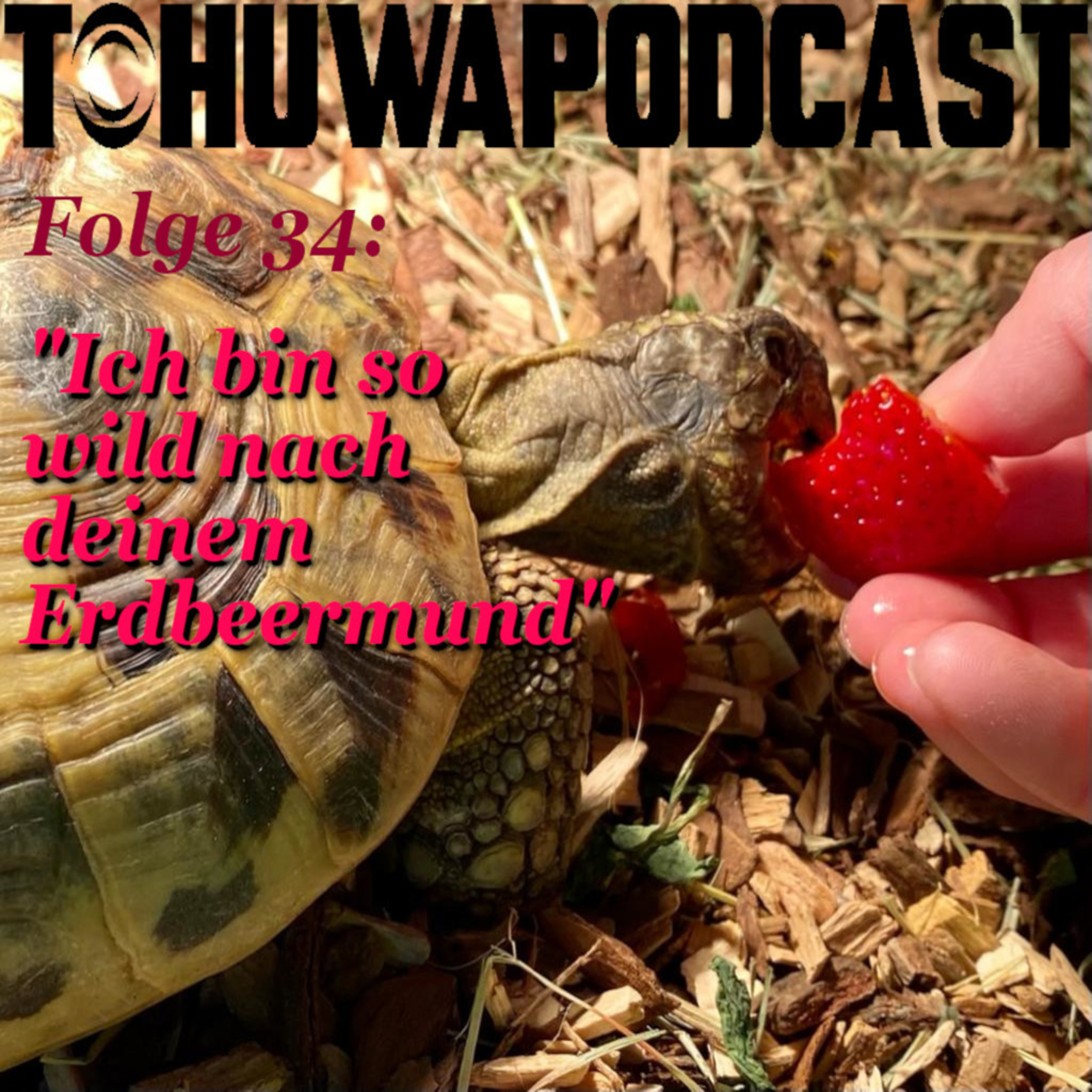 Ich bin so wild nach deinem Erdbeermund (AZ-Datum: 27.5.2021) episode artwork