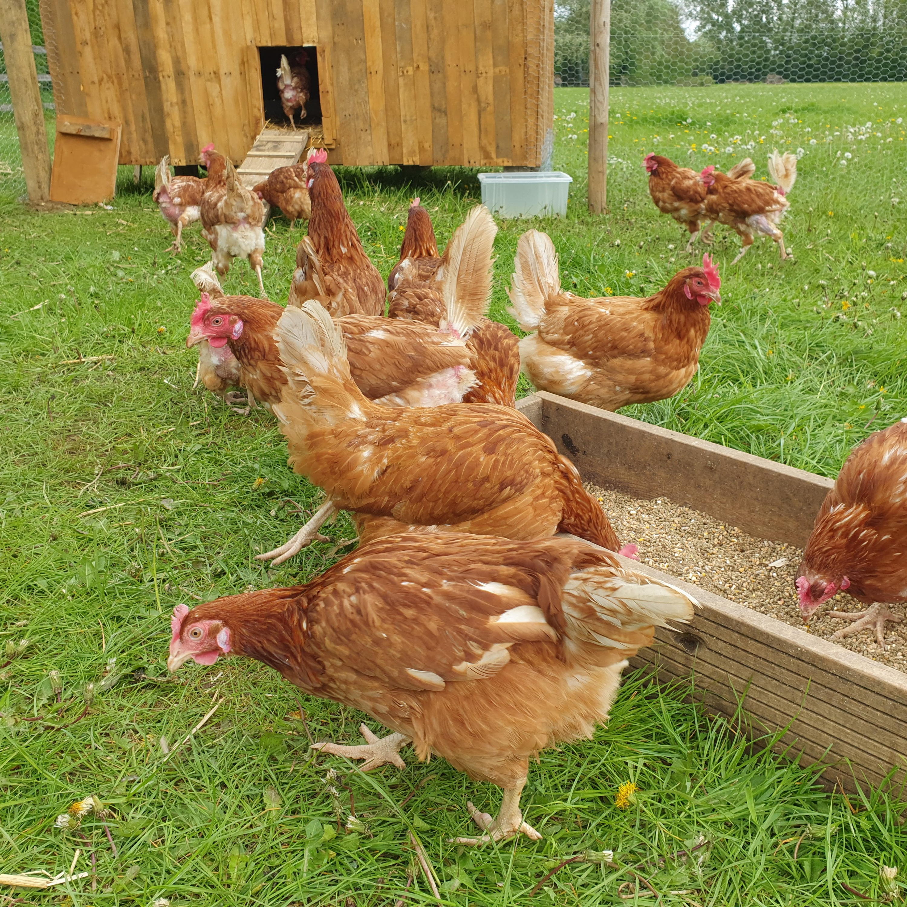 Episode 13 - Extra workers, farming tools and storage wars!