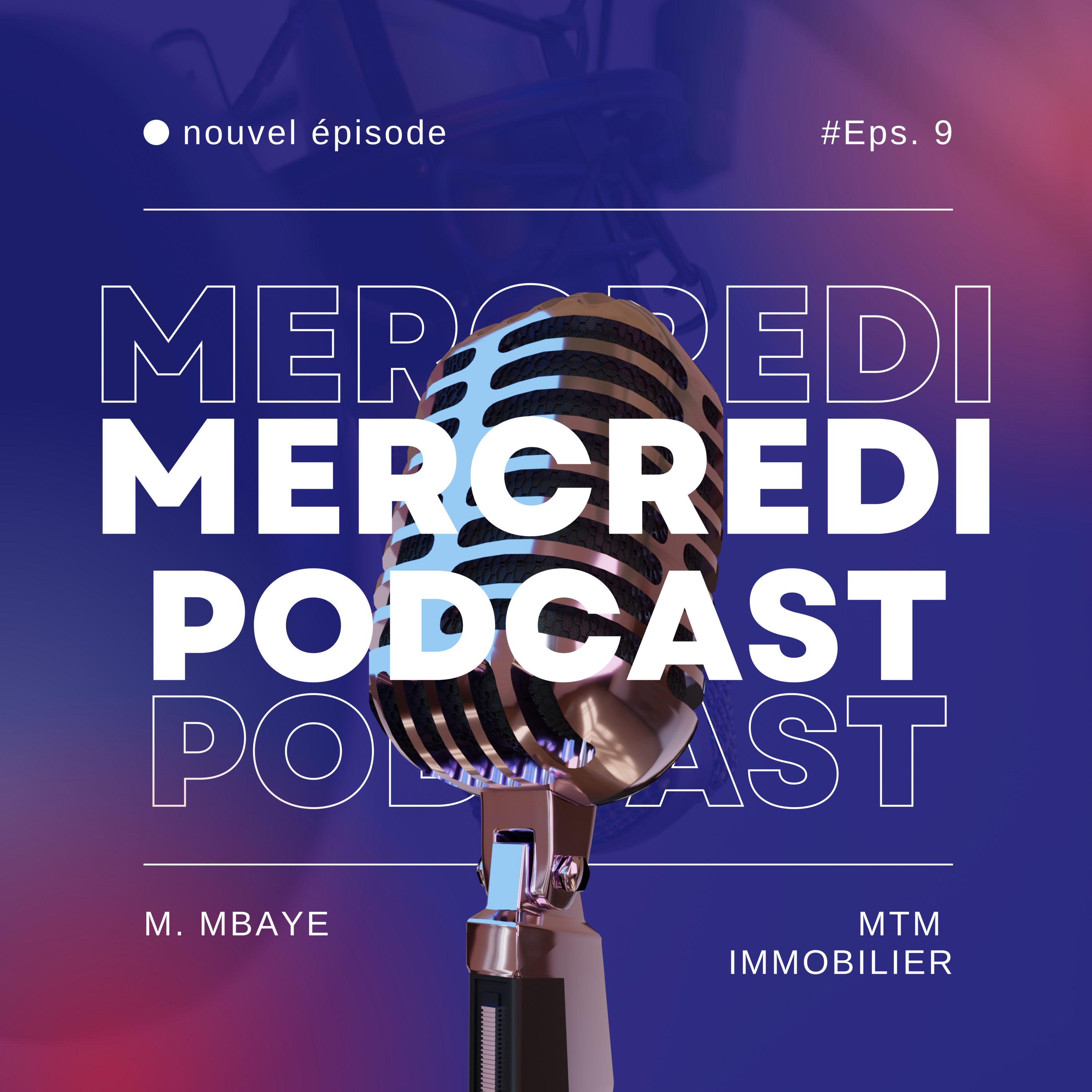 LE BAIL： pourquoi ça prend du temps ？ episode artwork