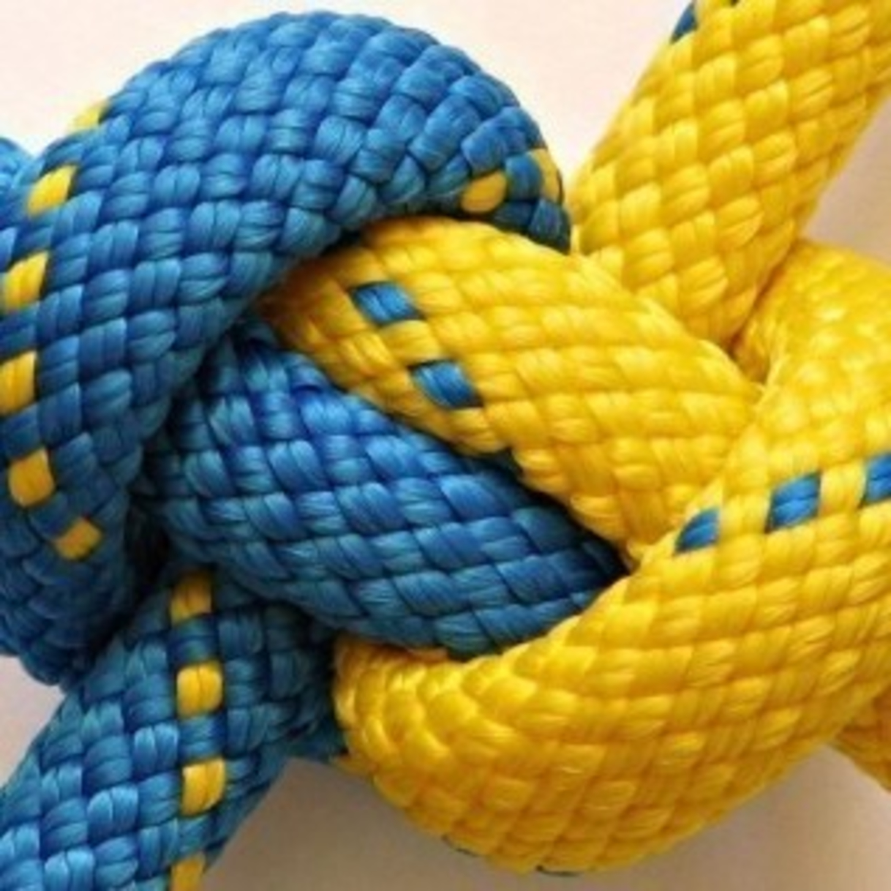 Єдність в час непевності
