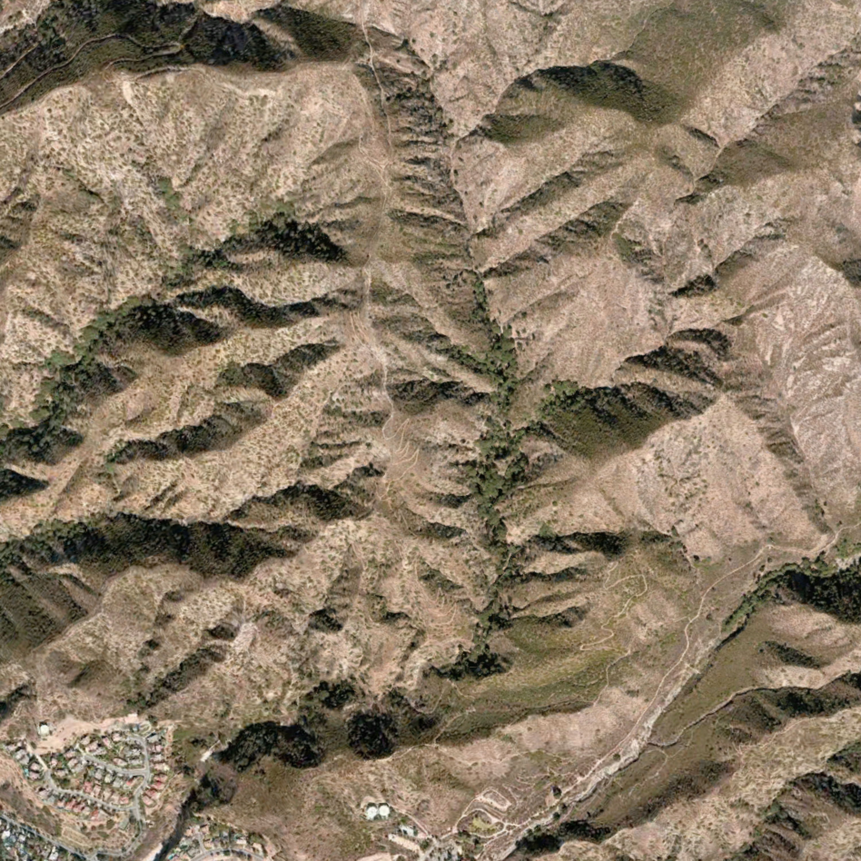 1. Deukmejian Wilderness: Cooks Canyon episode artwork