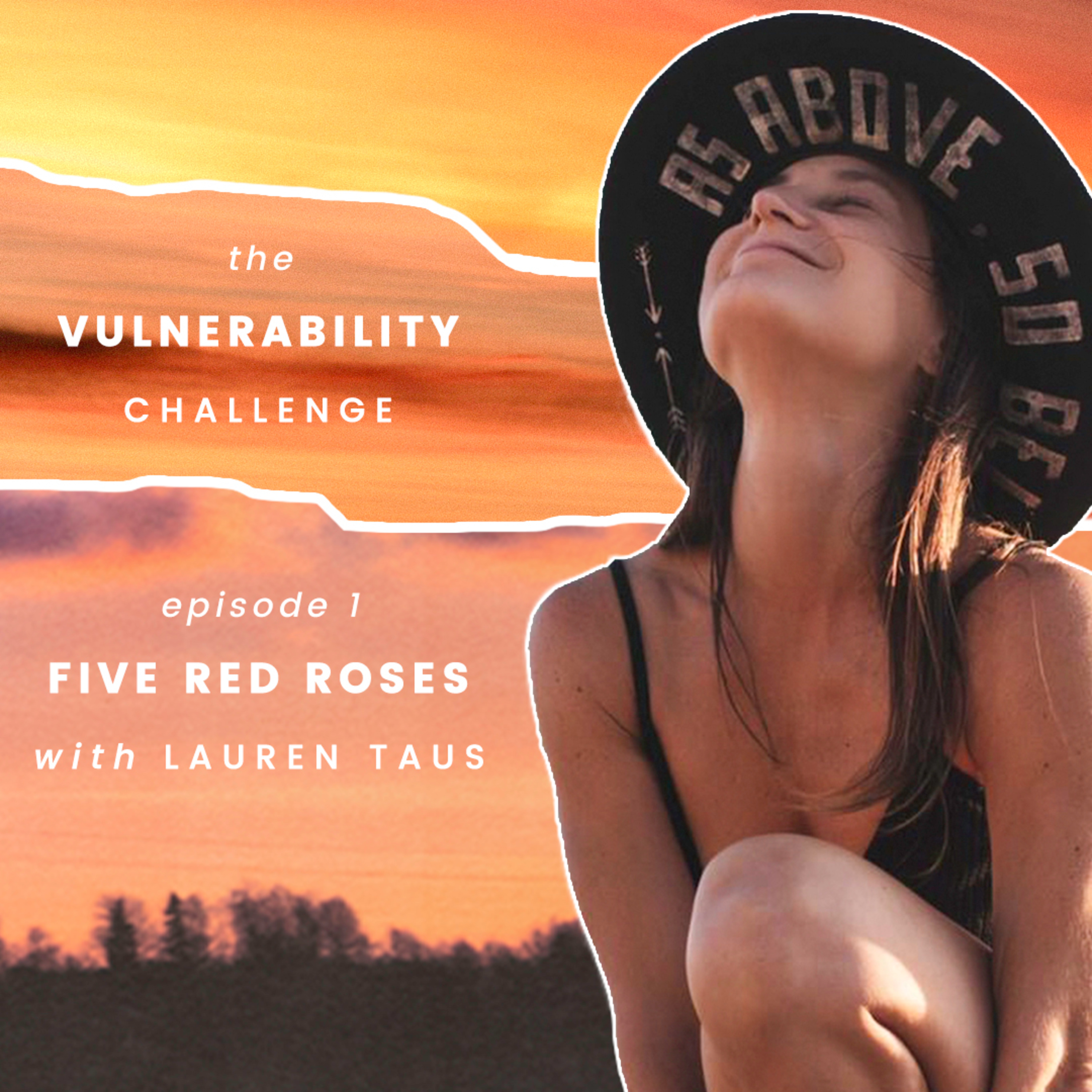 The Vulnerability Challenge