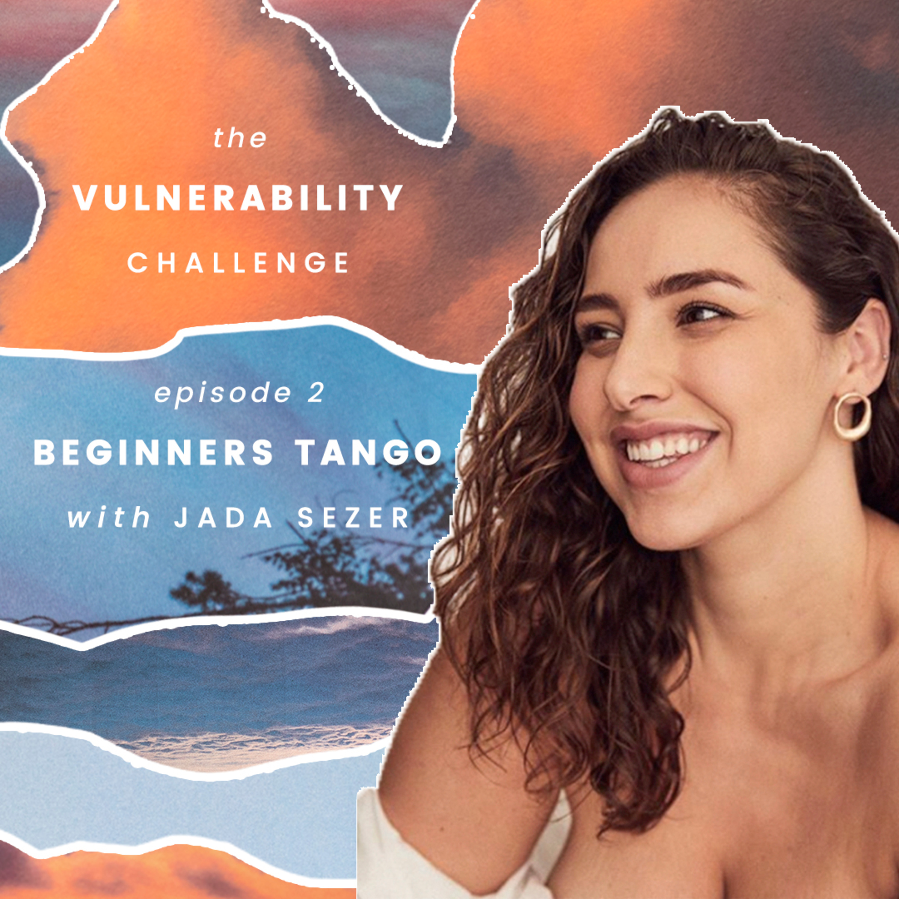The Vulnerability Challenge