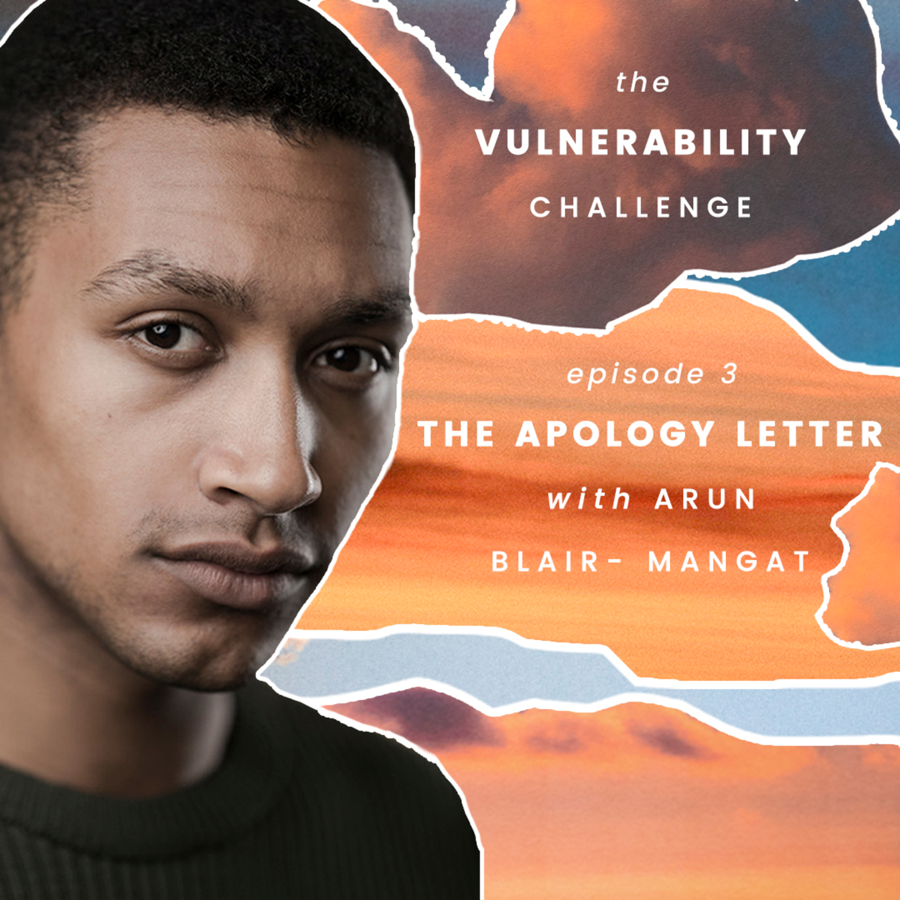 The Vulnerability Challenge