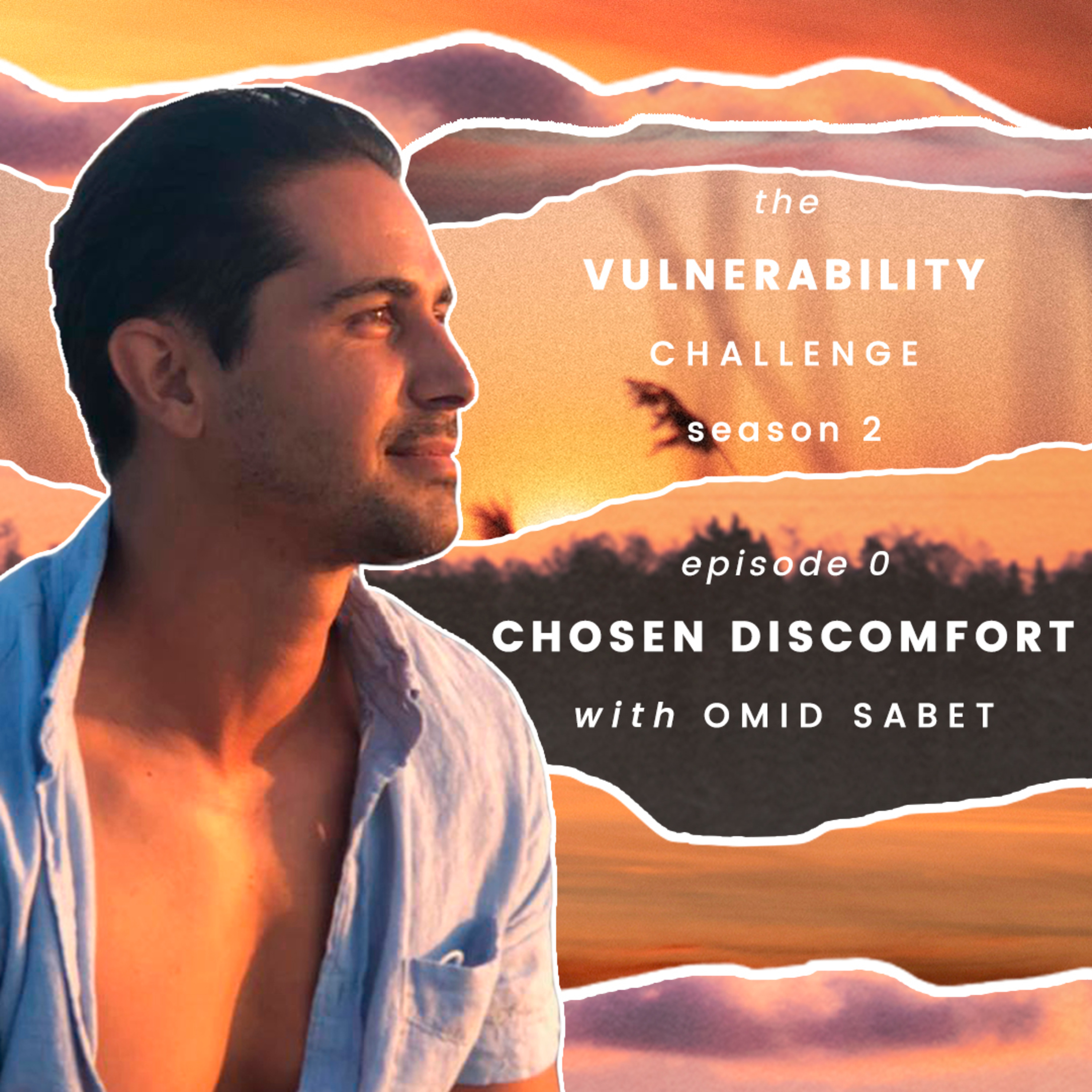 The Vulnerability Challenge