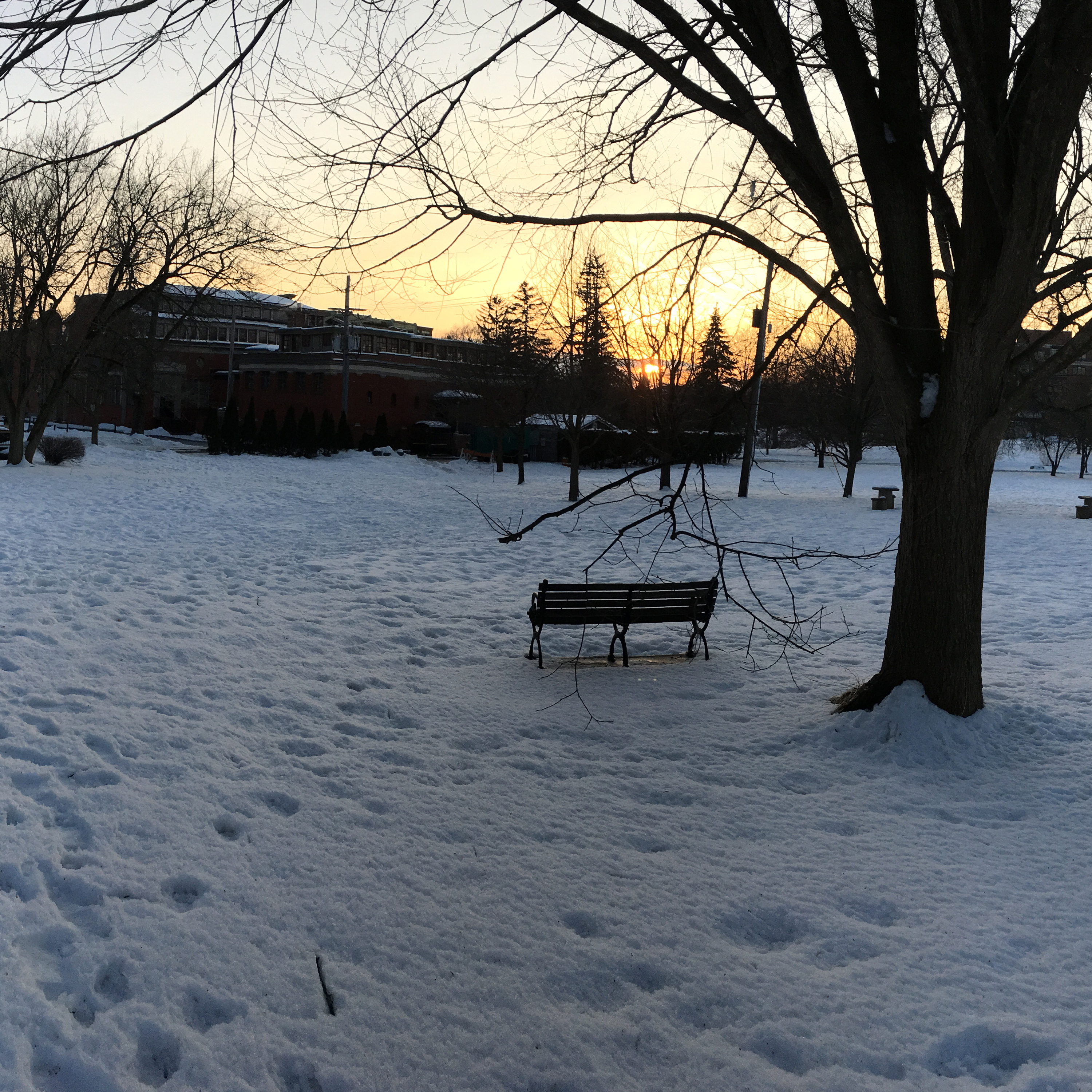 How is God calling us in a suffering world?