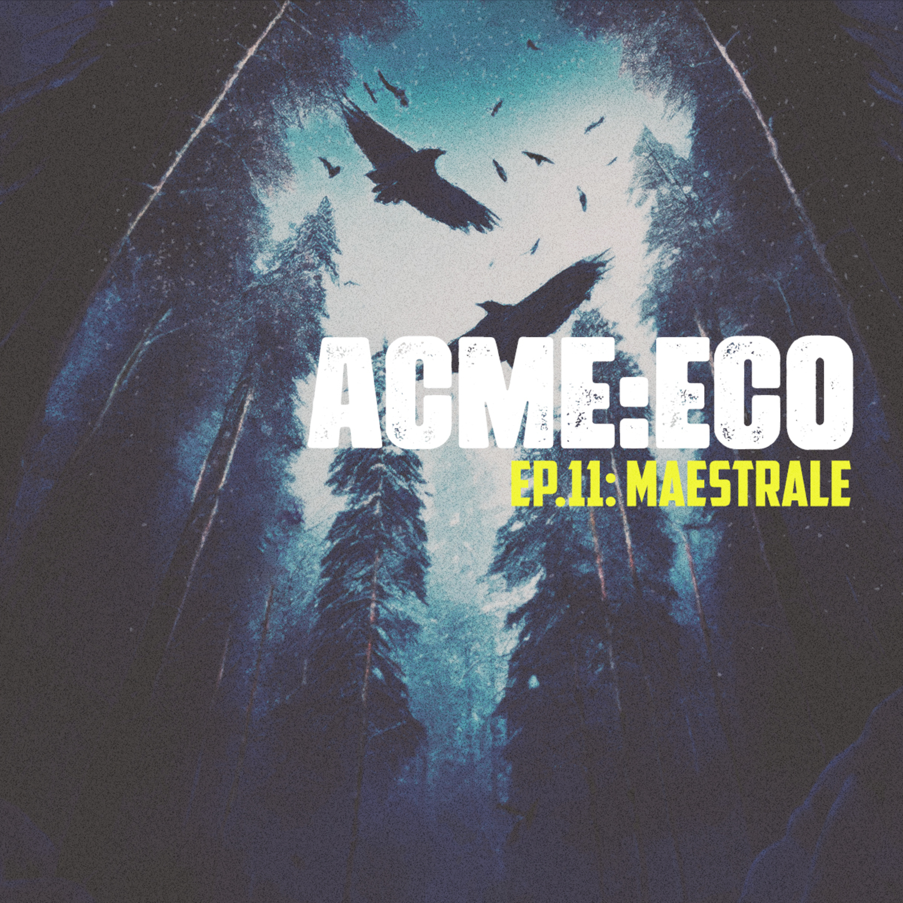 ACME:ECO