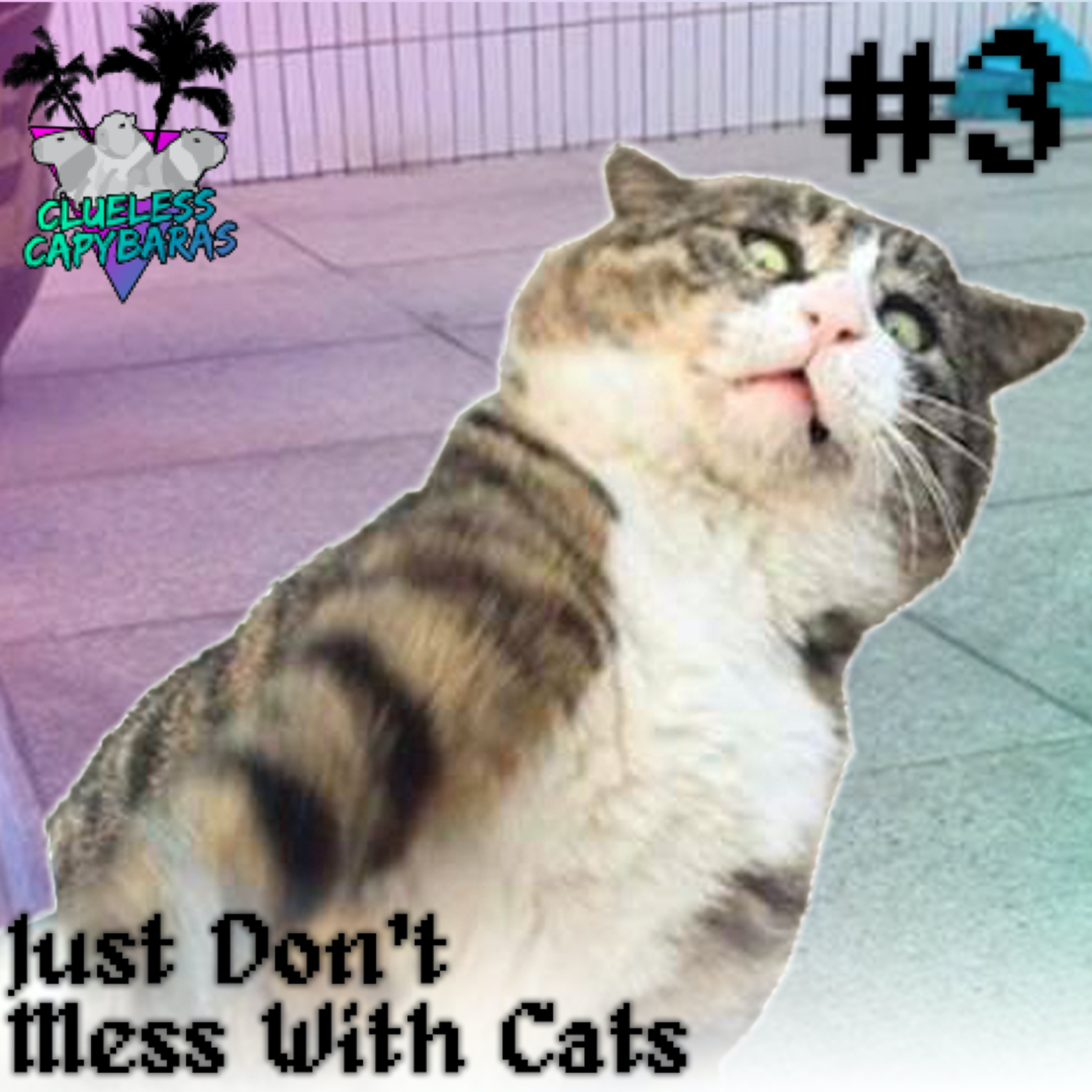 Just Don't Mess With Cats!  episode artwork