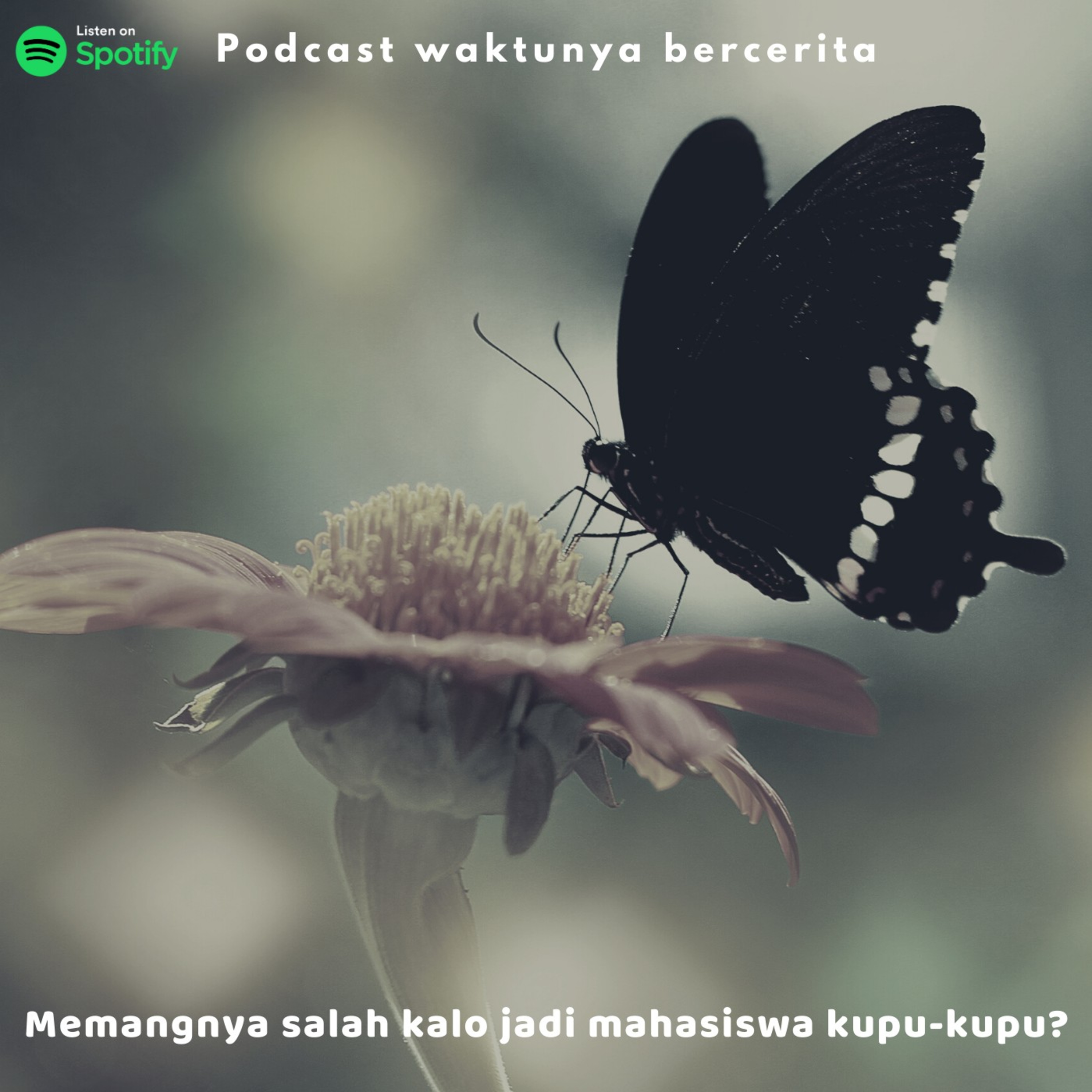 Waktunya Bercerita