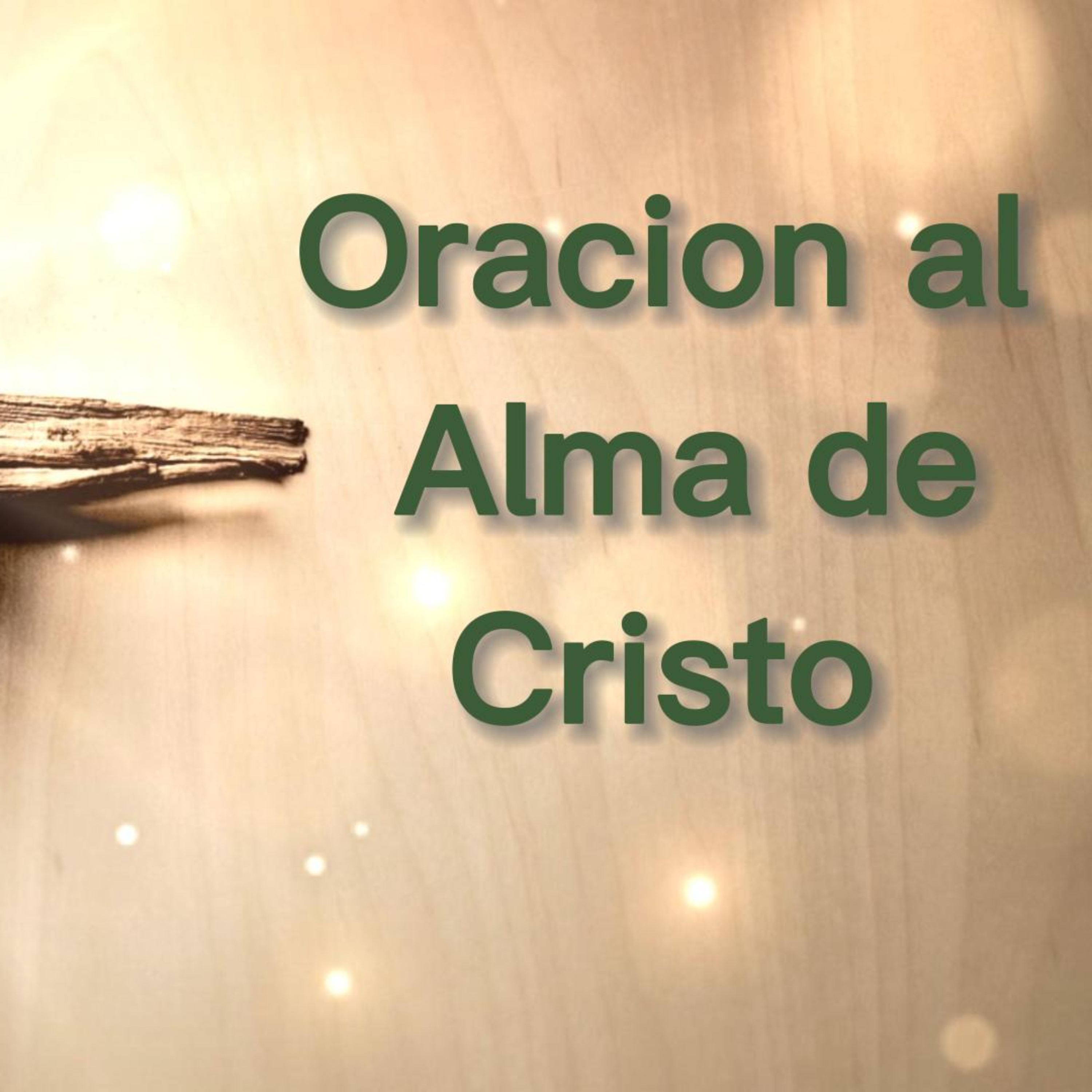 Evangelio del día