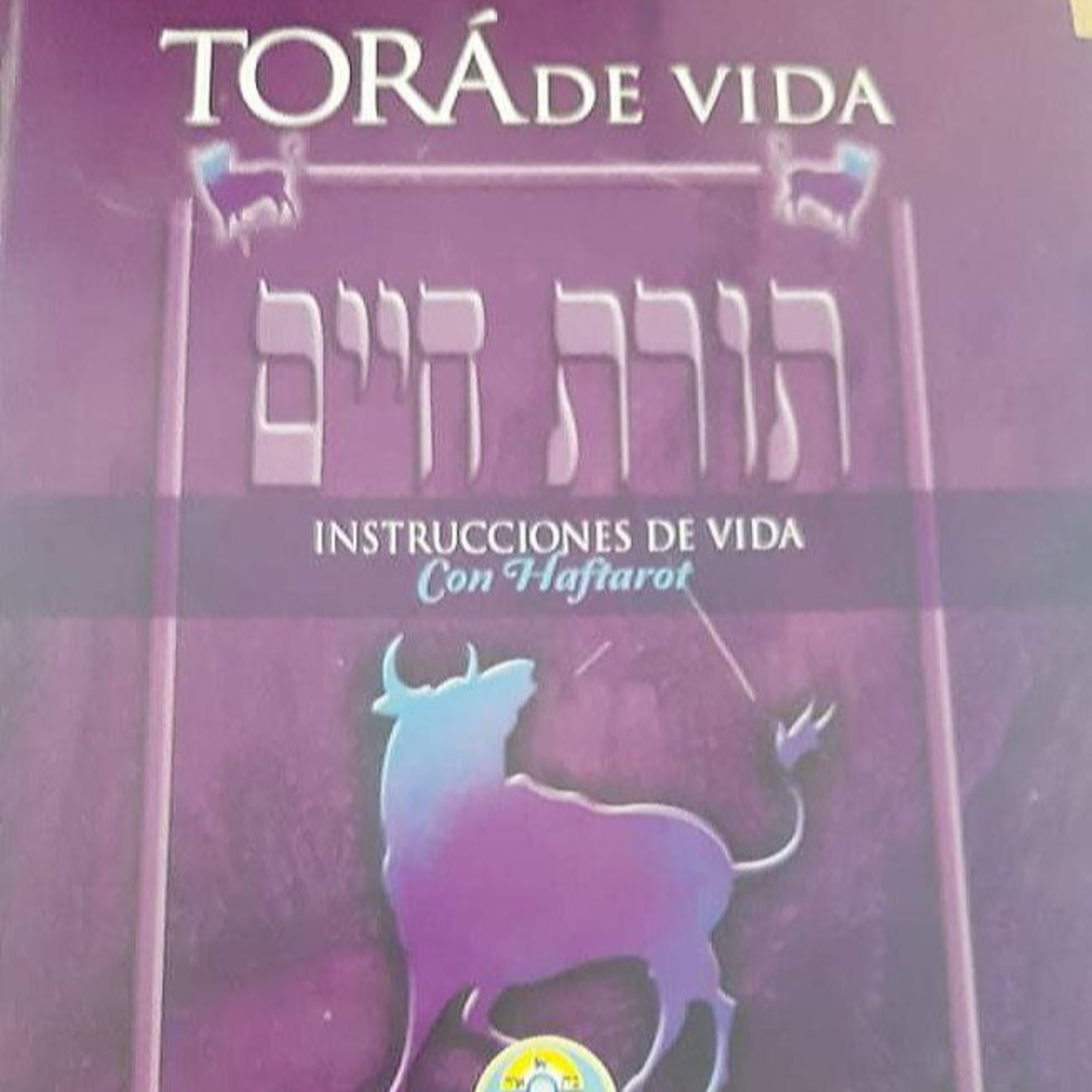 Comenzando a estudiar Toráh