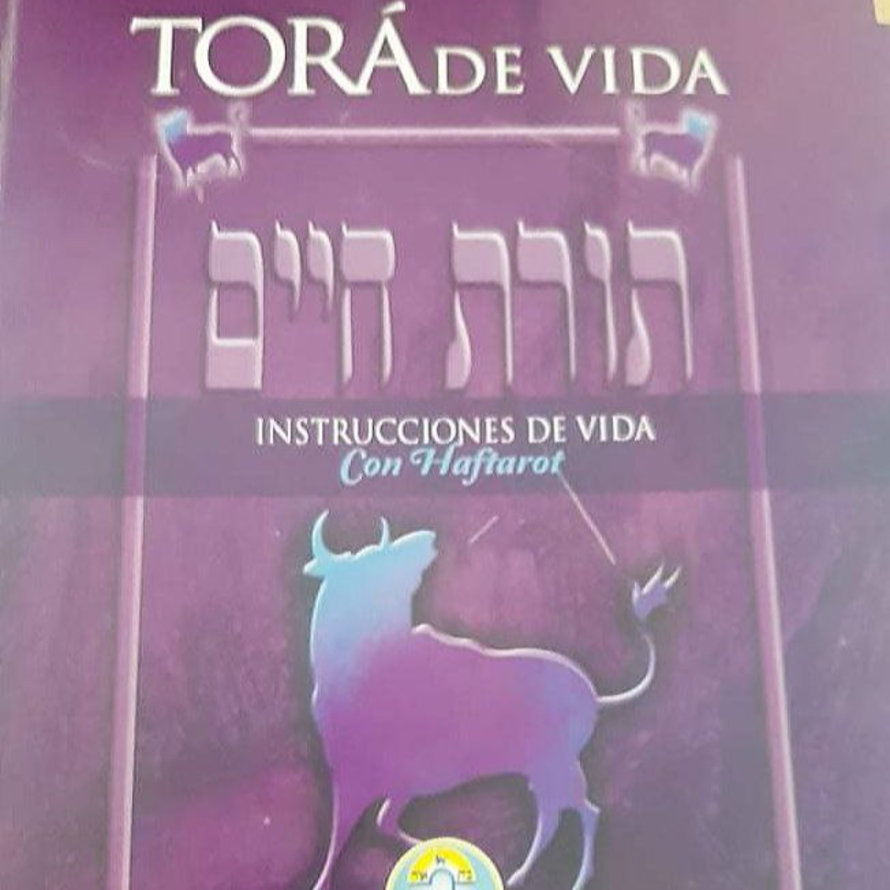 Comenzando a estudiar Toráh