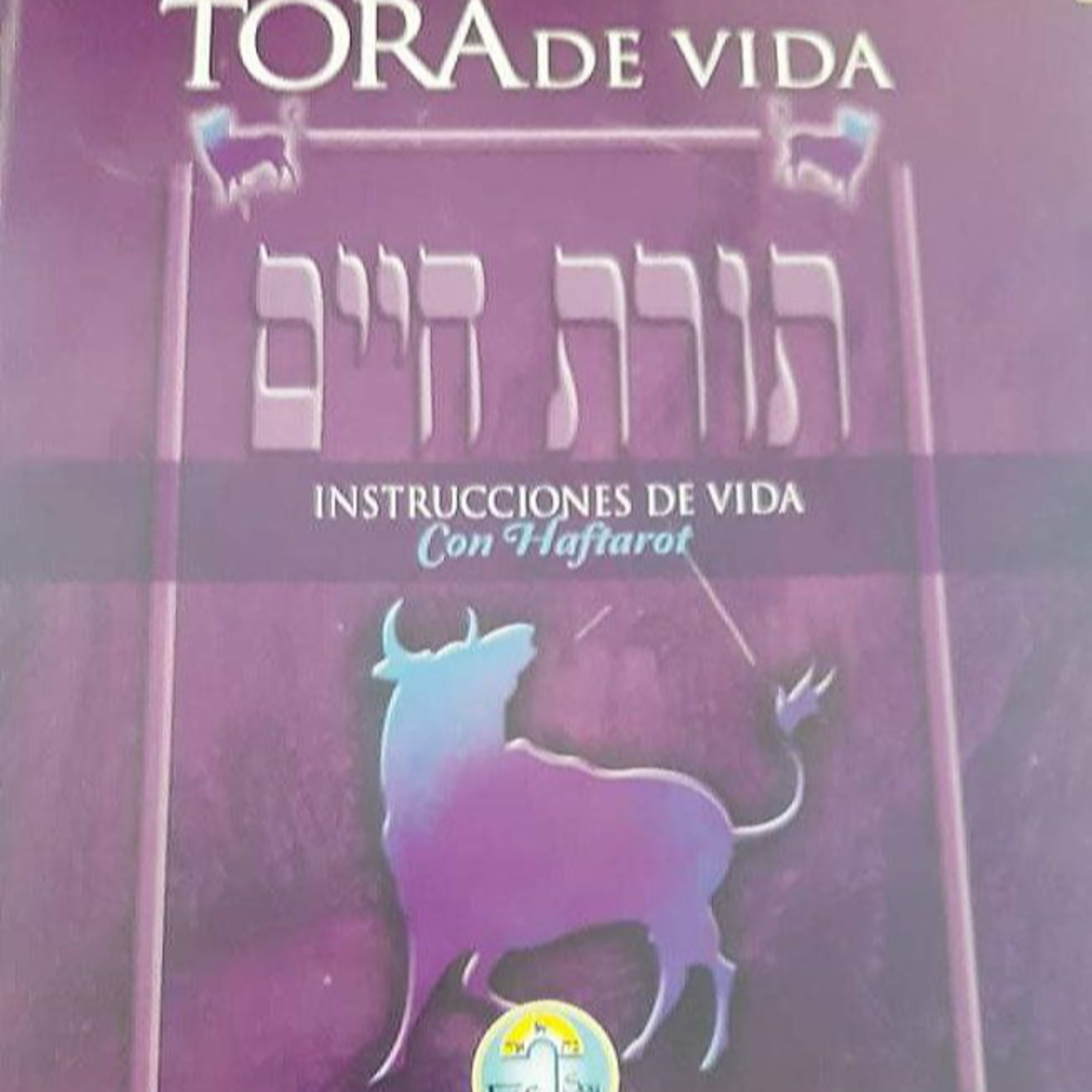 Comenzando a estudiar Toráh