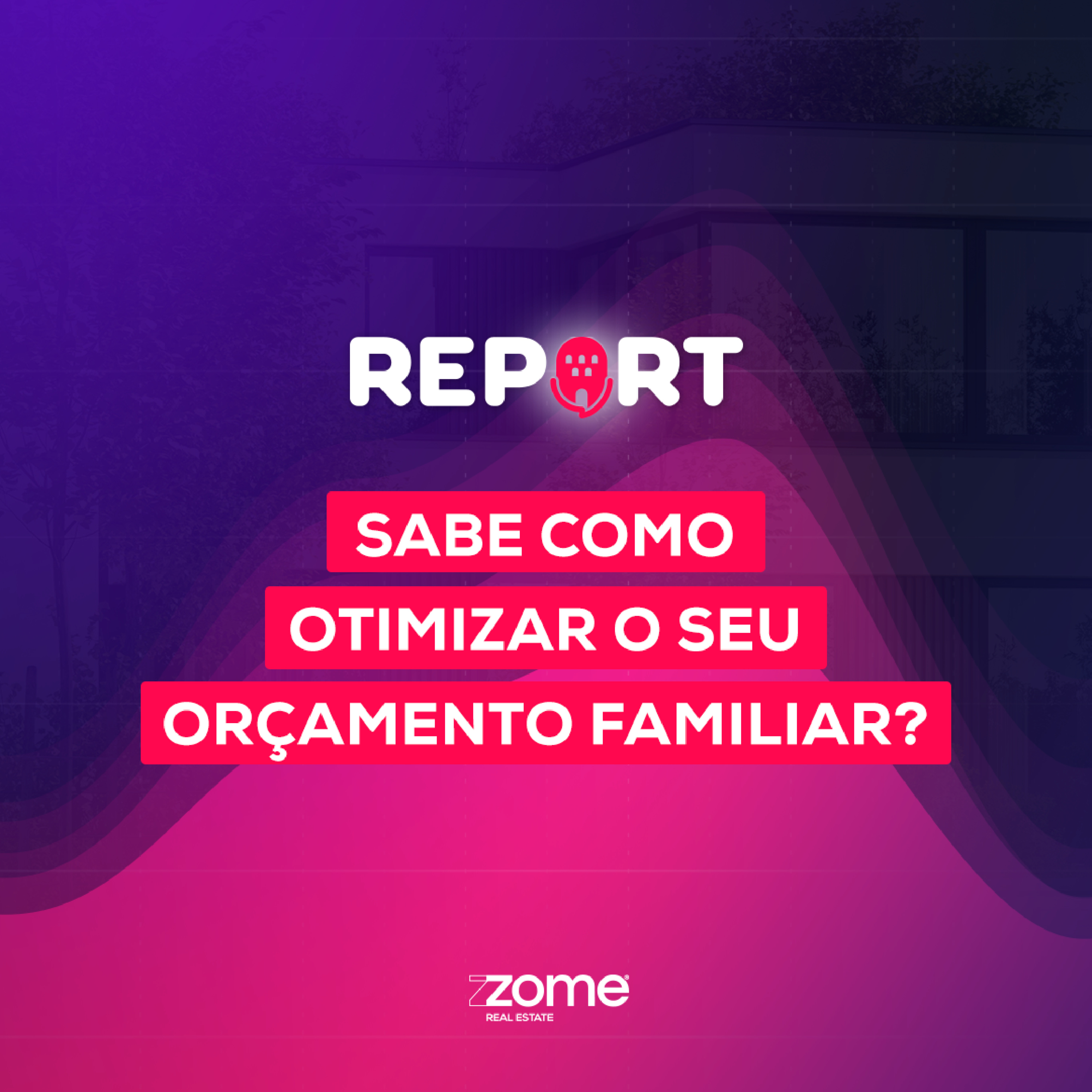 Zome Report