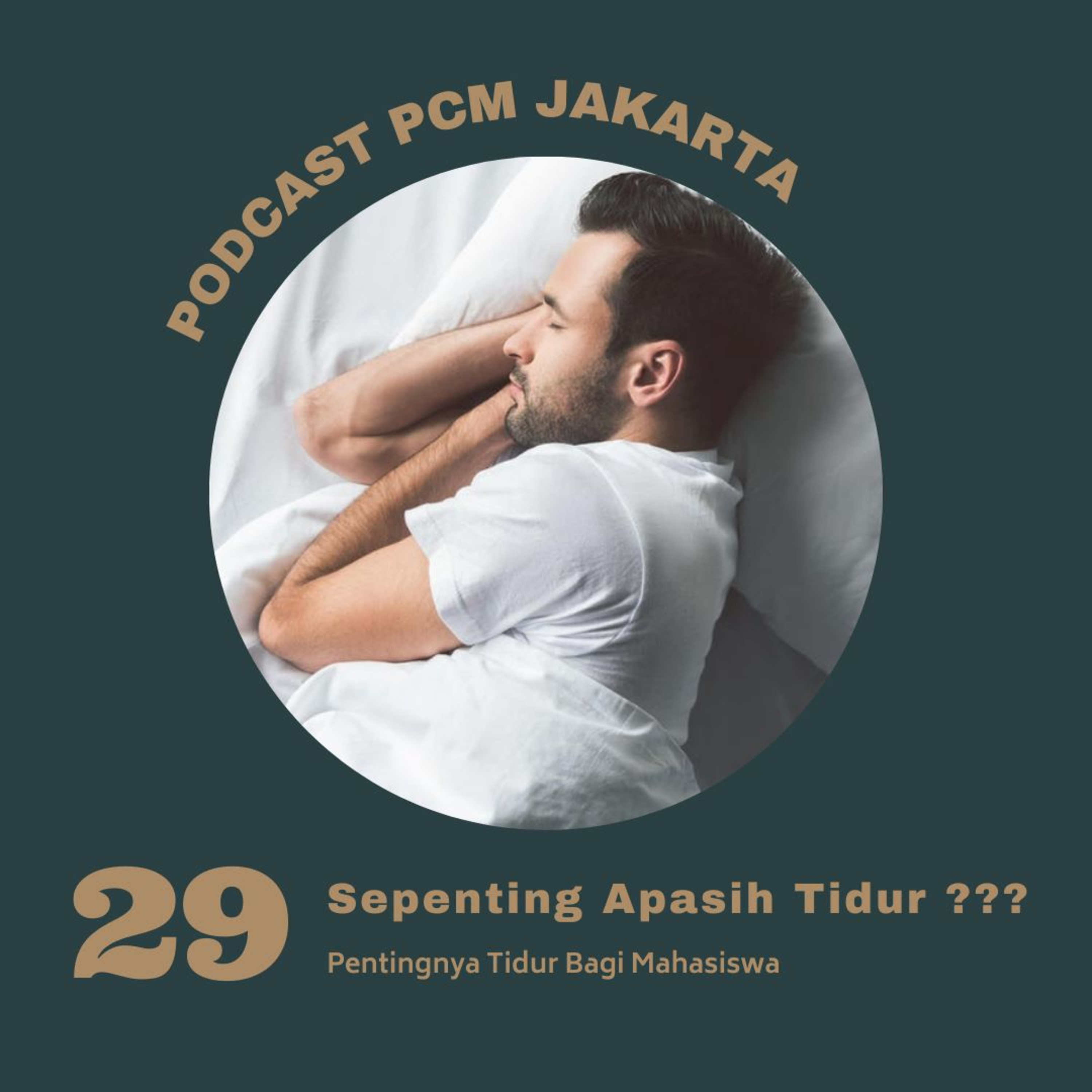 29. Sepenting apa sih tidur??? episode artwork