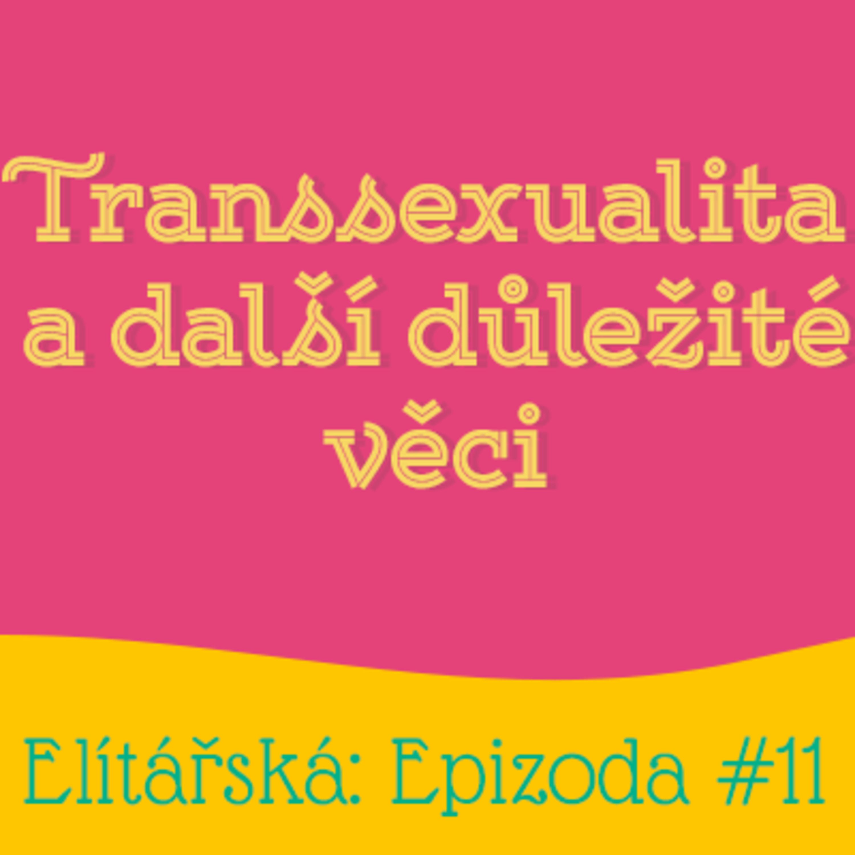 Epizoda 11: Transsexualita a další důležité věci episode artwork