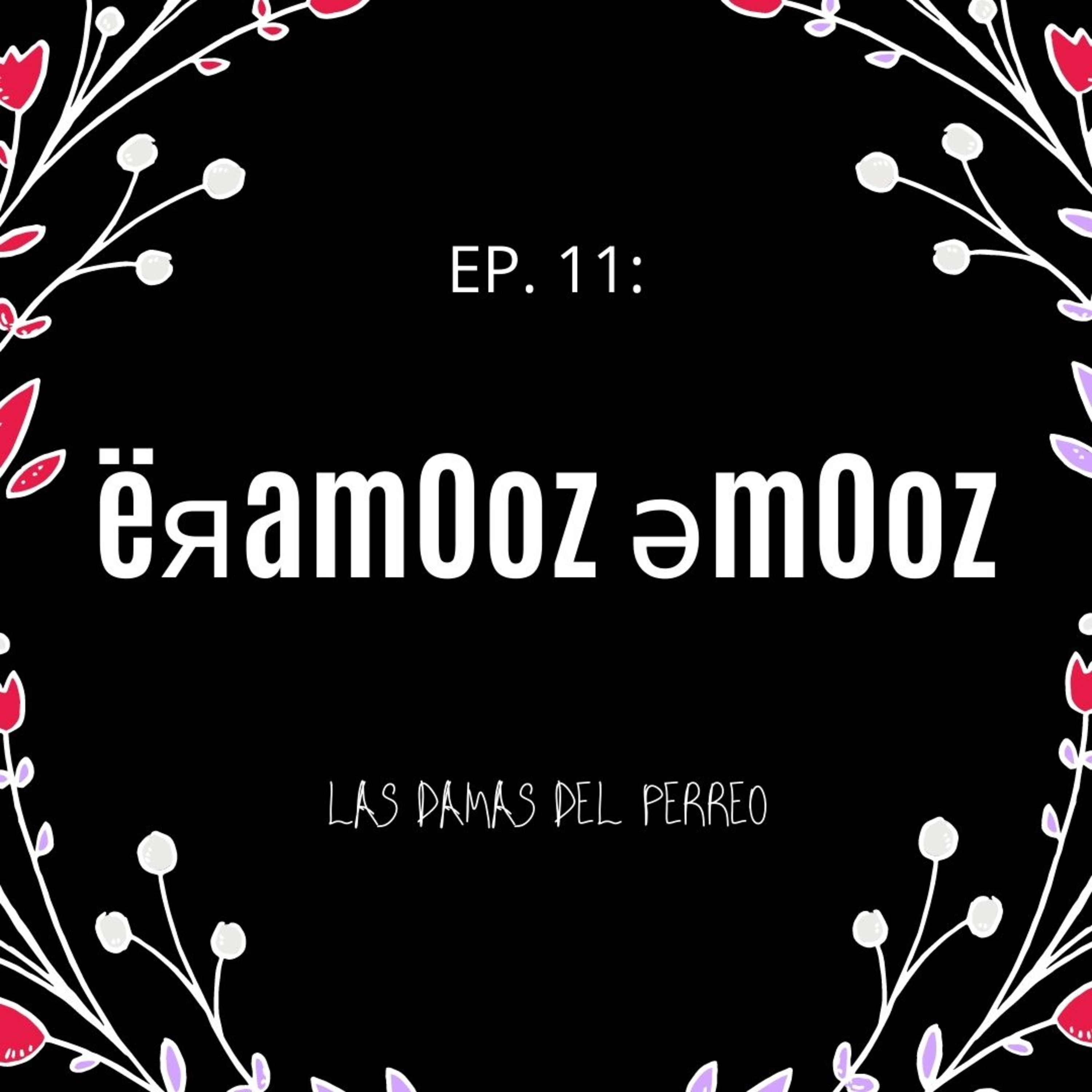 Las Damas del Perreo