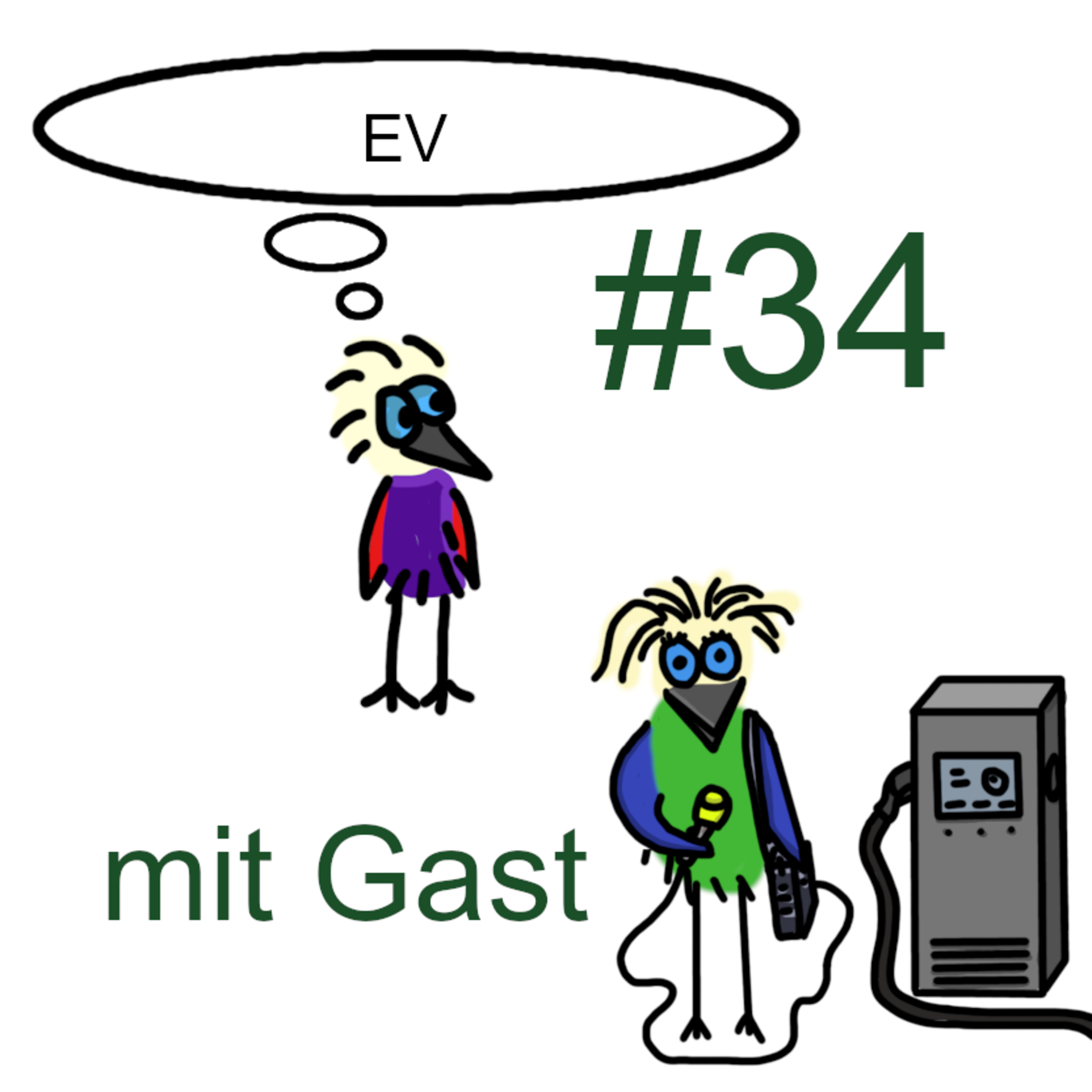 Der Elektrospaßvogel: Elektromobilität von A bis Z - Das umfangreichste Lexikon rund um Elektroautos