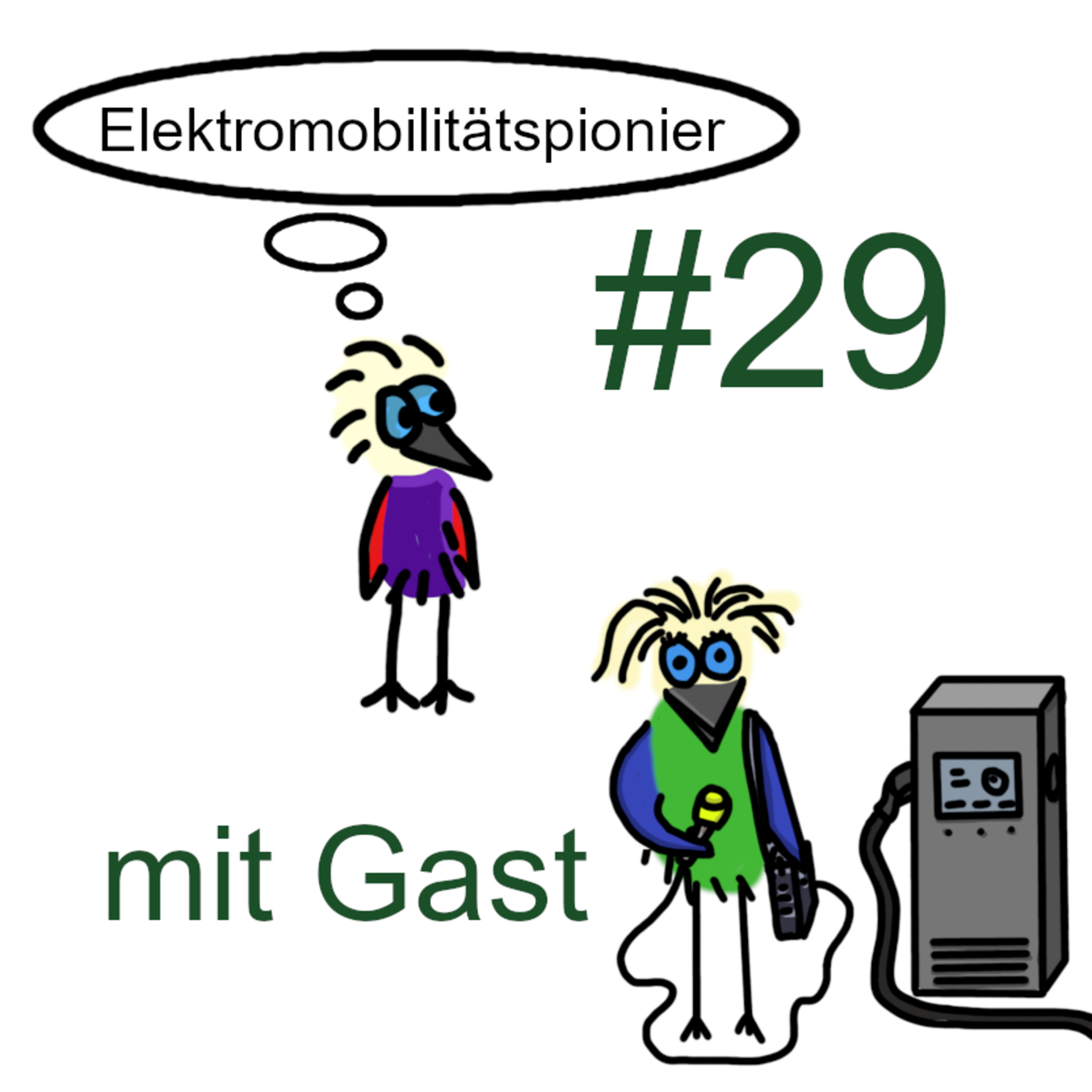 Der Elektrospaßvogel: Elektromobilität von A bis Z - Das umfangreichste Lexikon rund um Elektroautos