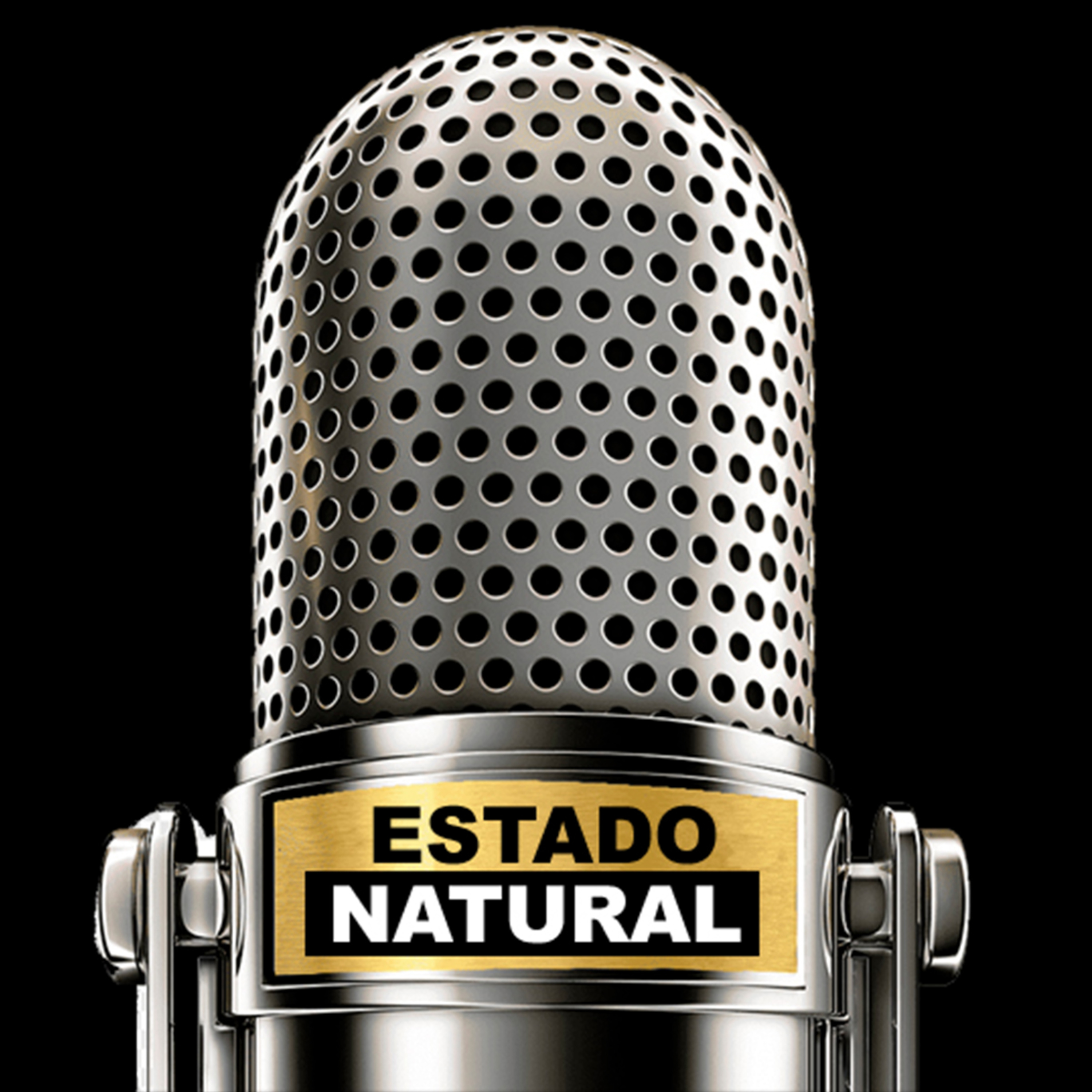  Los límites del derecho a la libertad de expresión - Estado Natural - EP.1 T1 episode artwork