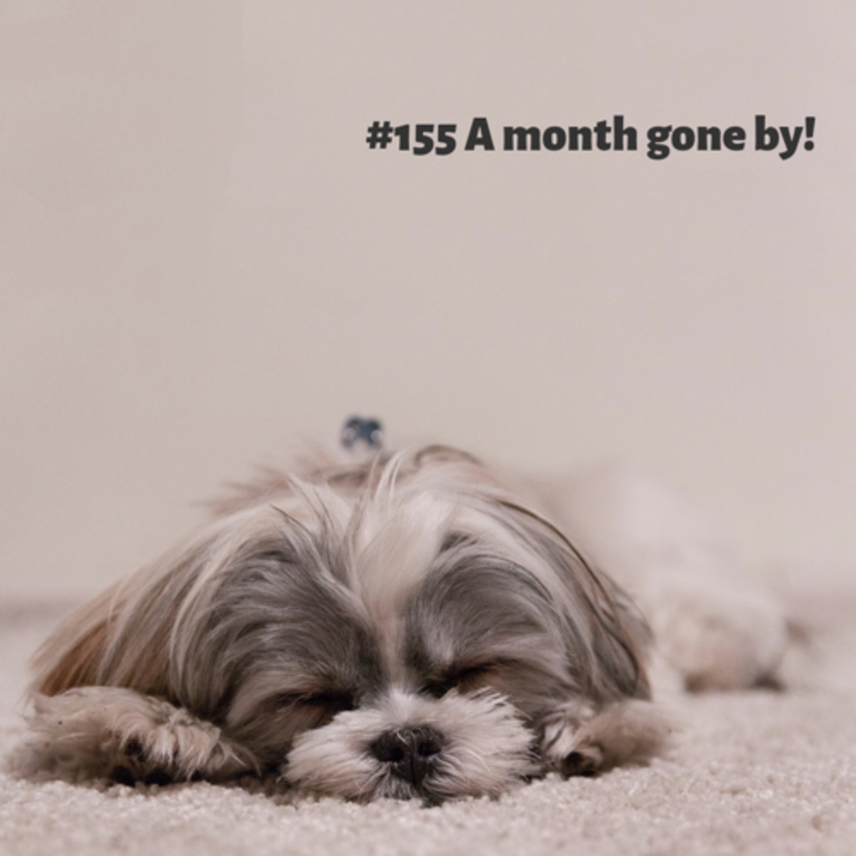 #155 A month gone by!
