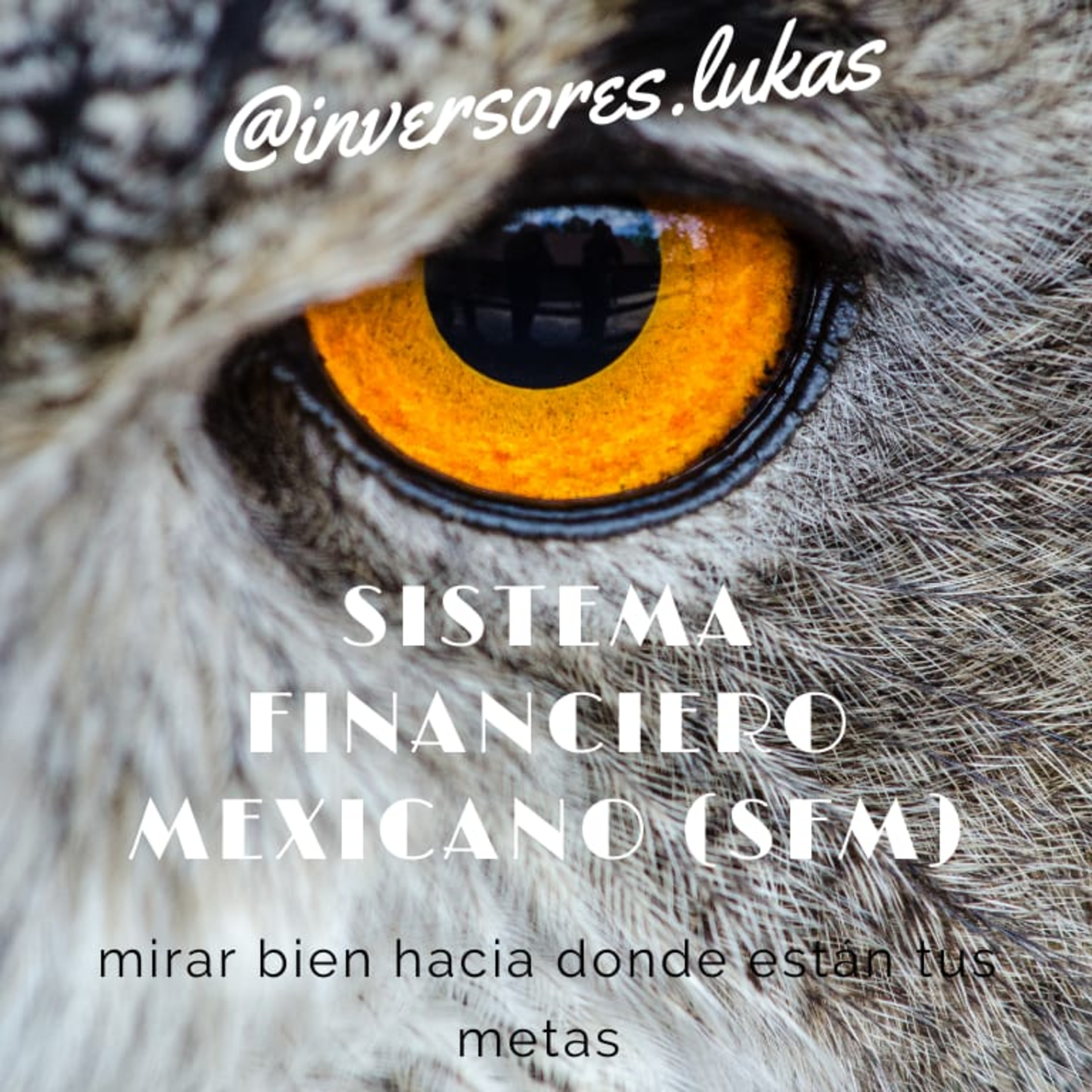 evolución histórica del sistema financiero Mexicano. episode artwork