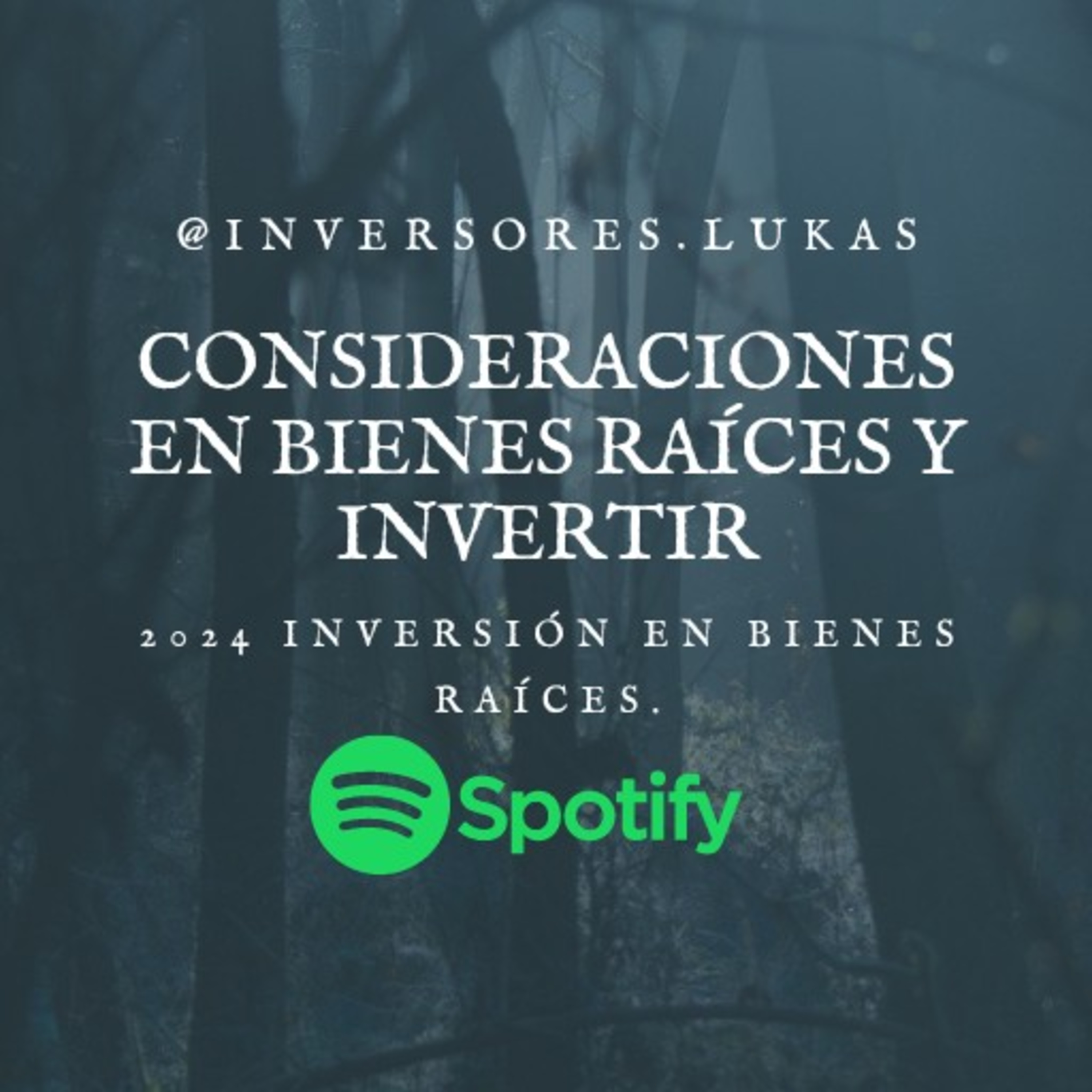 Consideraciones en bienes raíces y invertir episode artwork