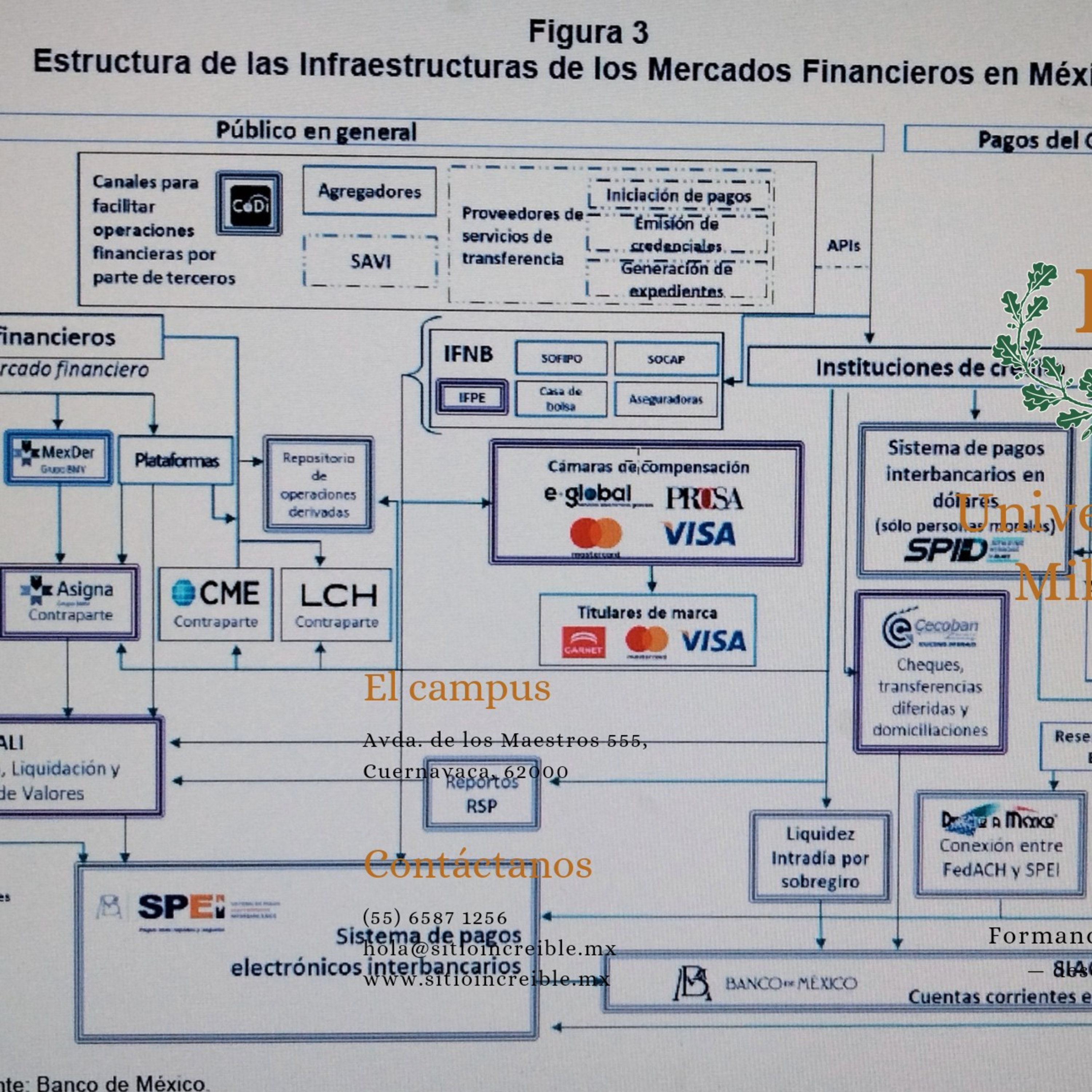 Infraestructura de los mercados financieros.2022 episode artwork