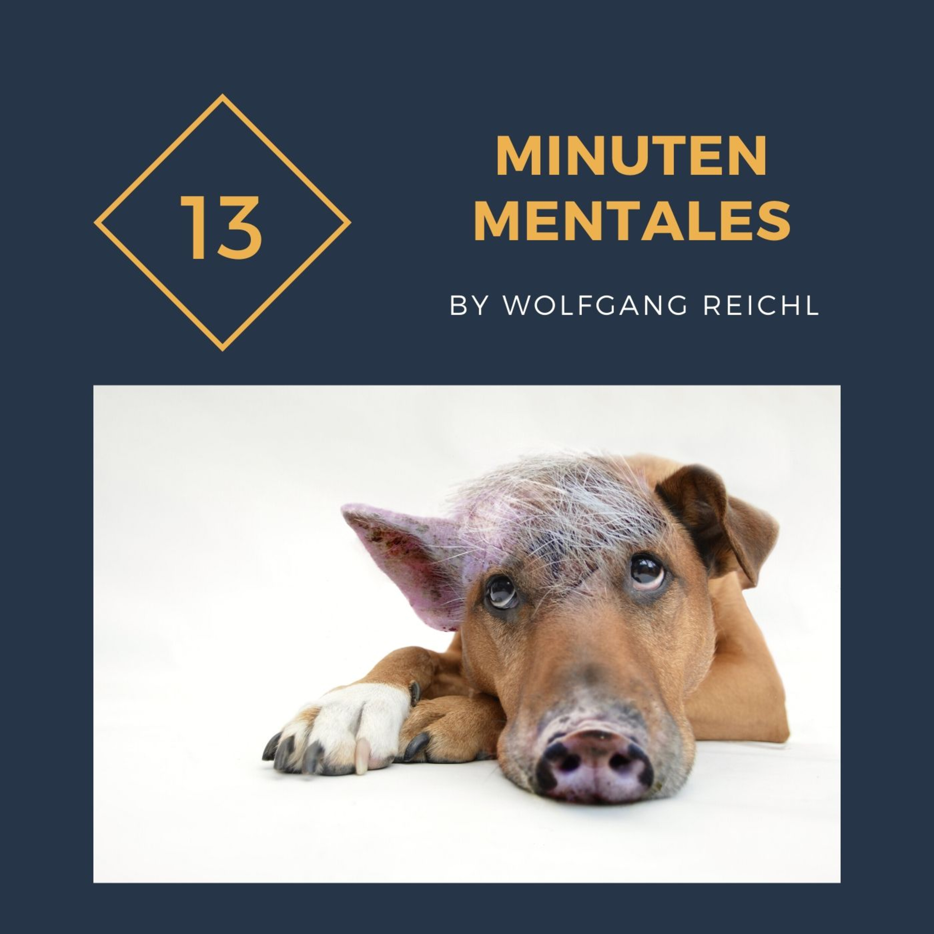 13 Minuten Mentales