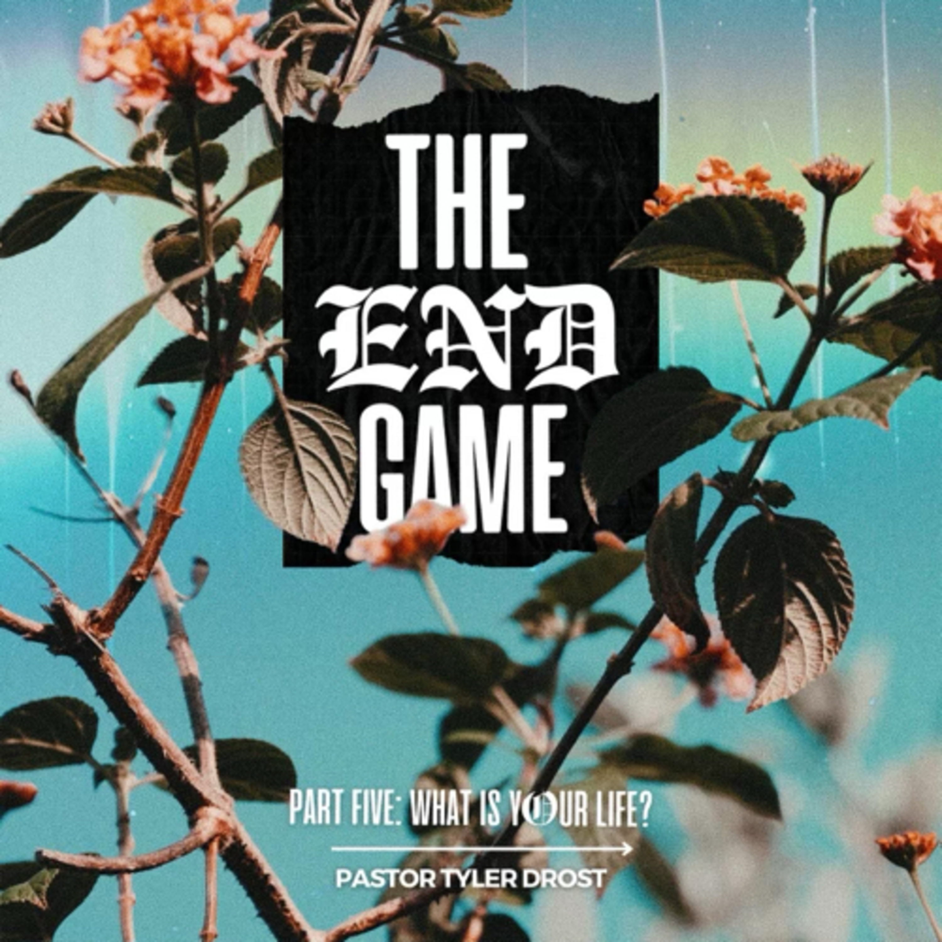 Thrive Church Honesdale