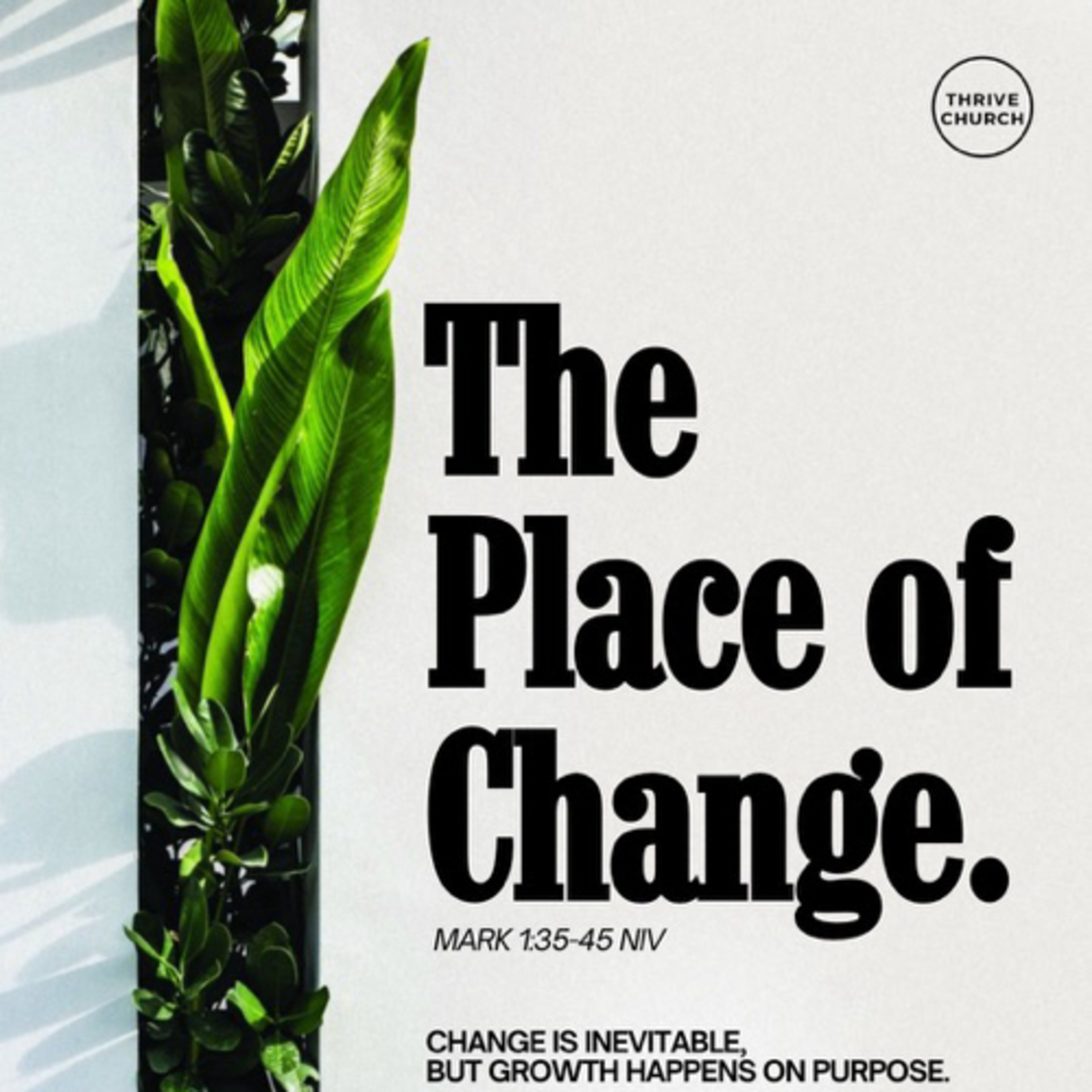 Thrive Church Honesdale