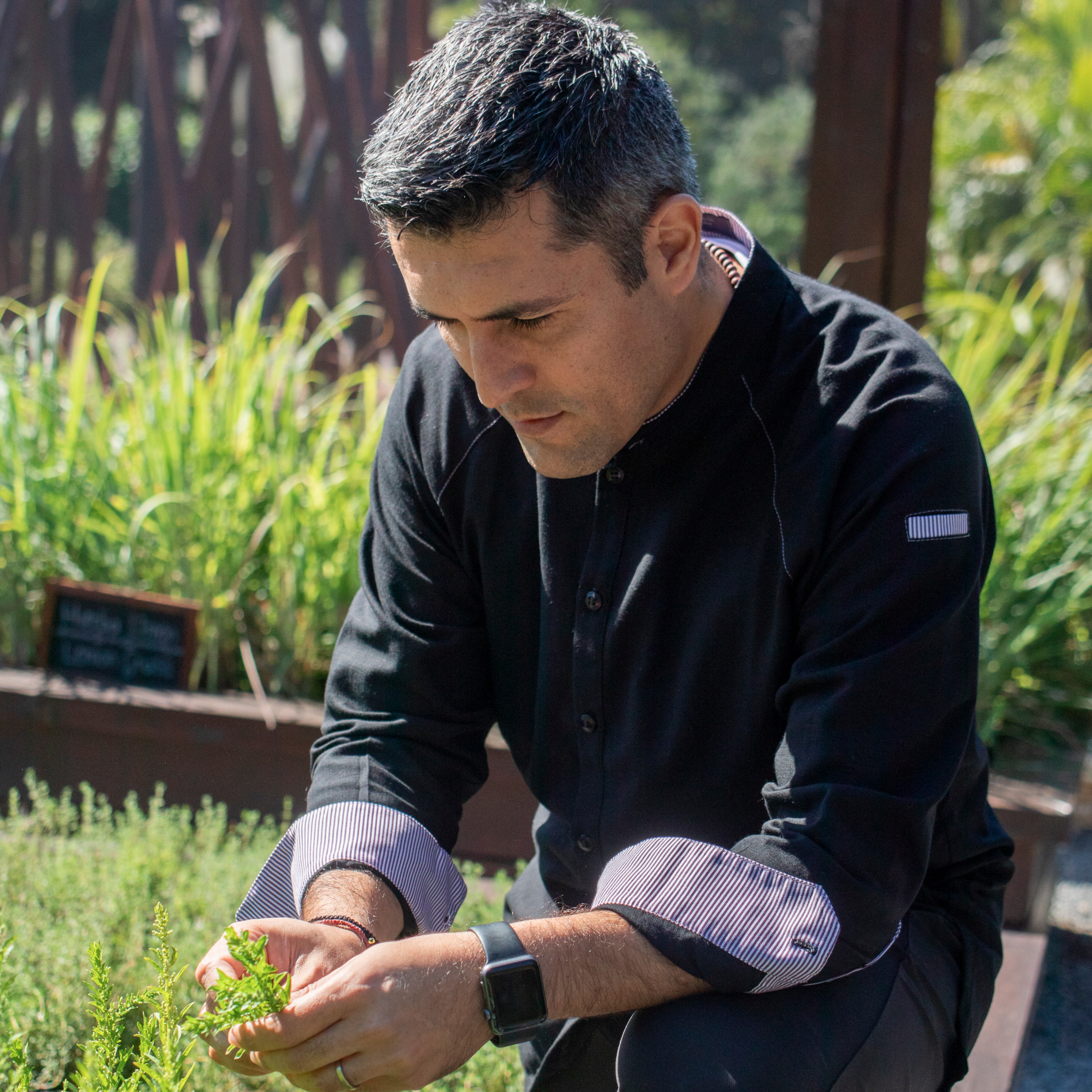 Conoce las historias que hicieron el gran cocinero que es Juan Pablo Loza, Chef Ejecutivo del Hotel Rosewood Mayakoba