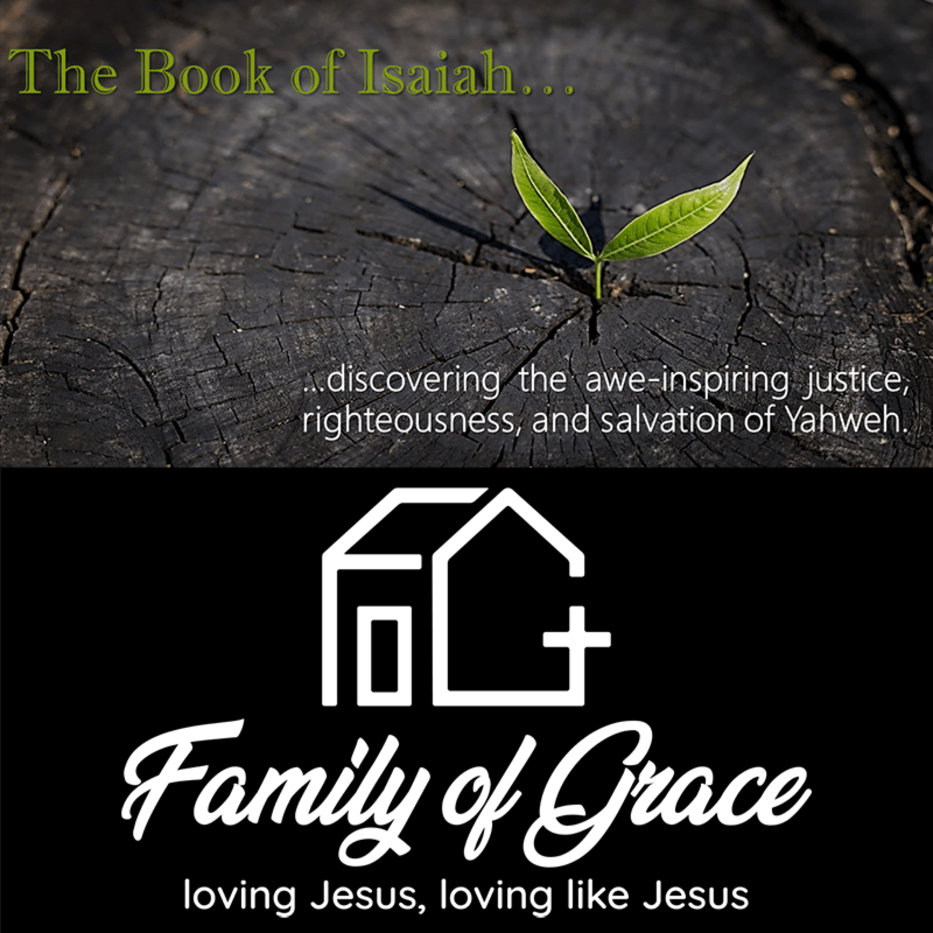 12/6/2020: Isaiah 44, Jordan Hooten episode artwork