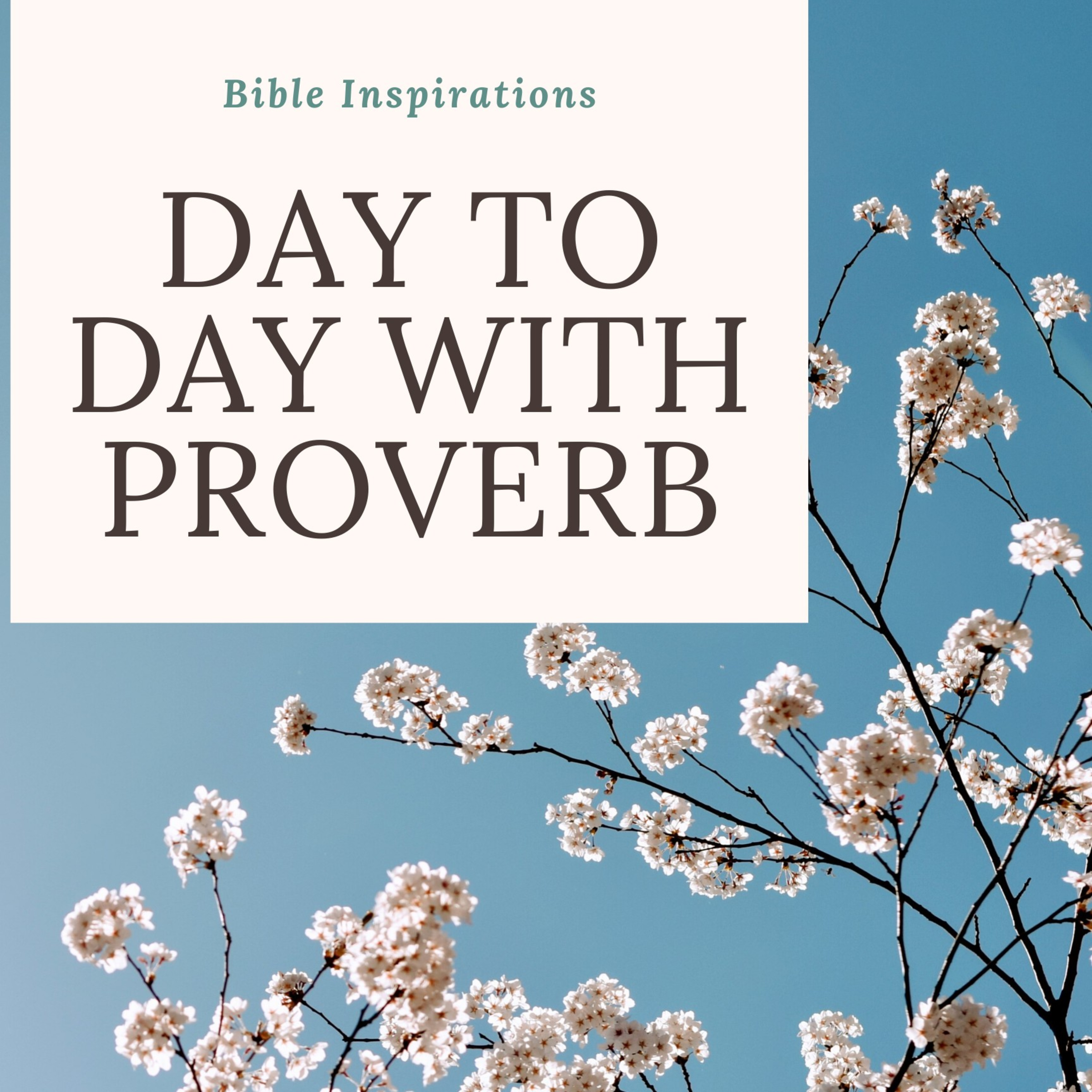 Proverbs chapter 28 episode artwork