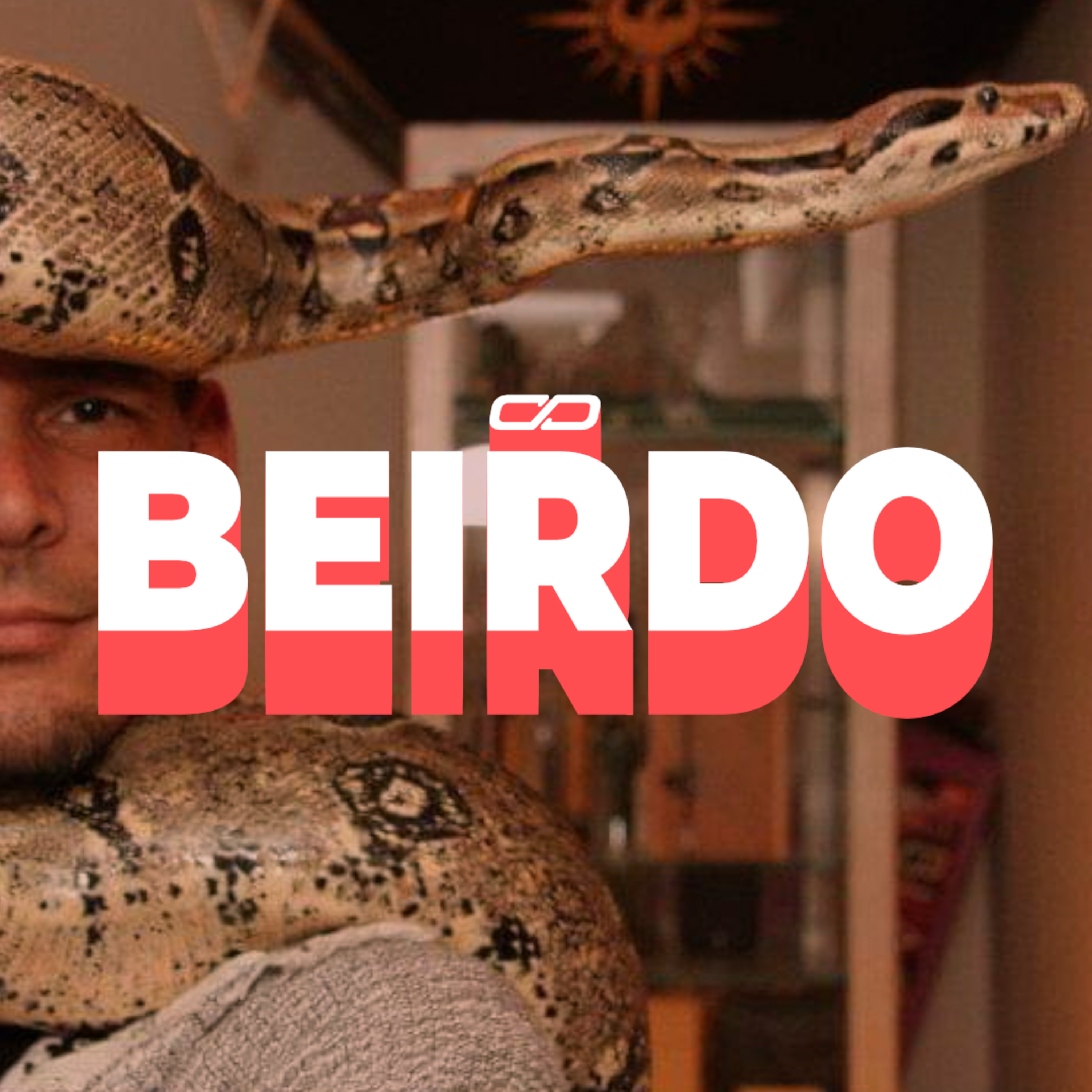 Conversation Pit w/ Danfinity