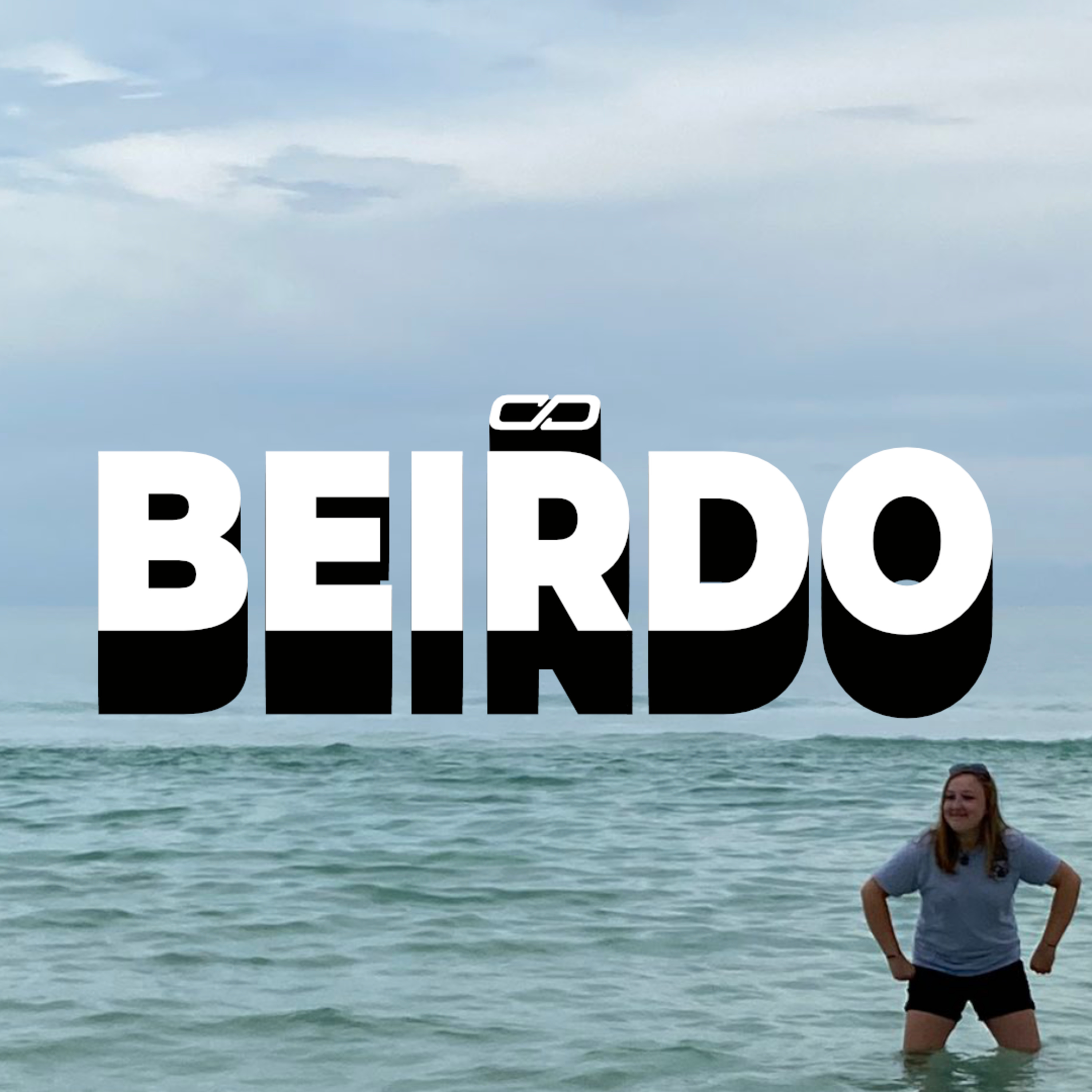 Conversation Pit w/ Danfinity