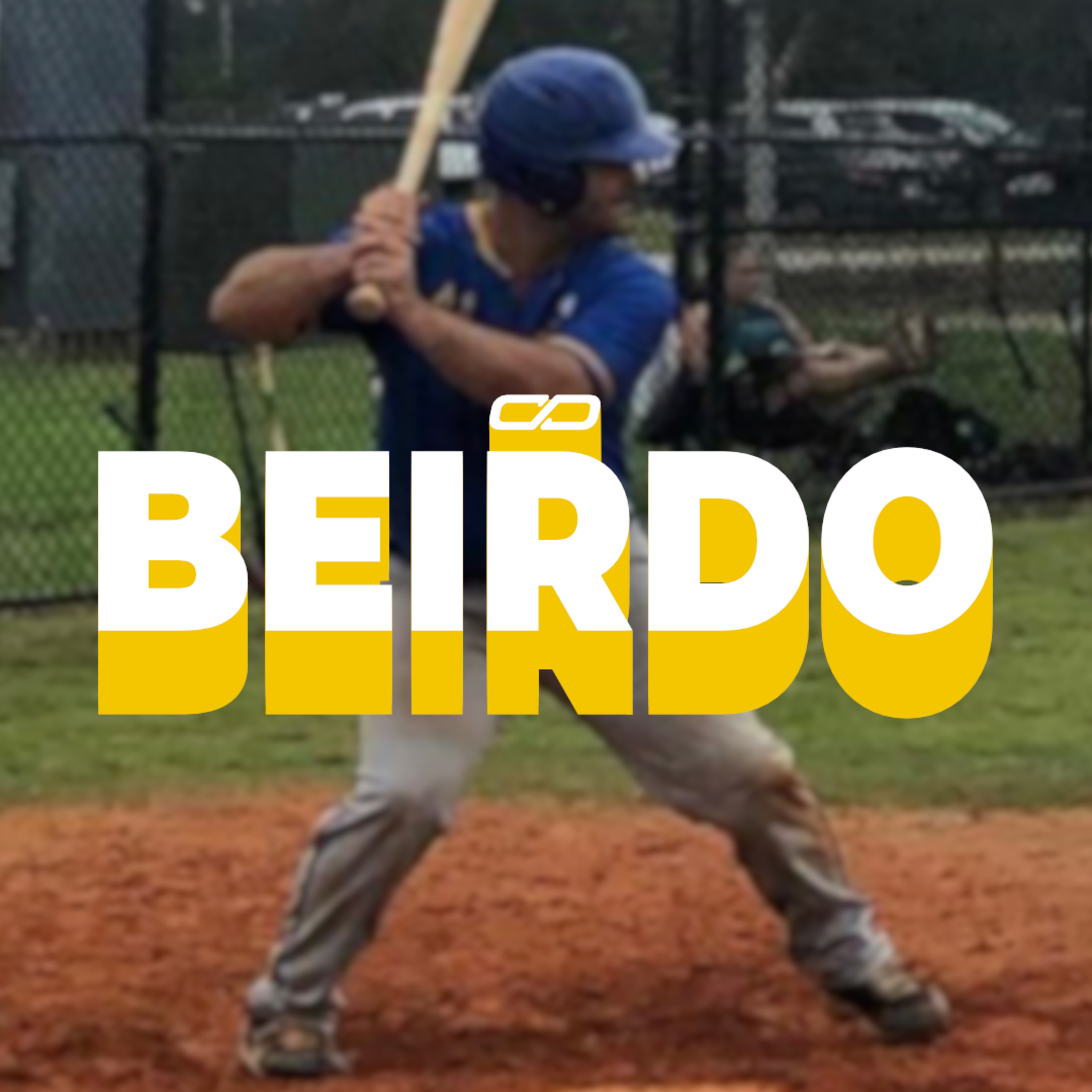 Conversation Pit w/ Danfinity