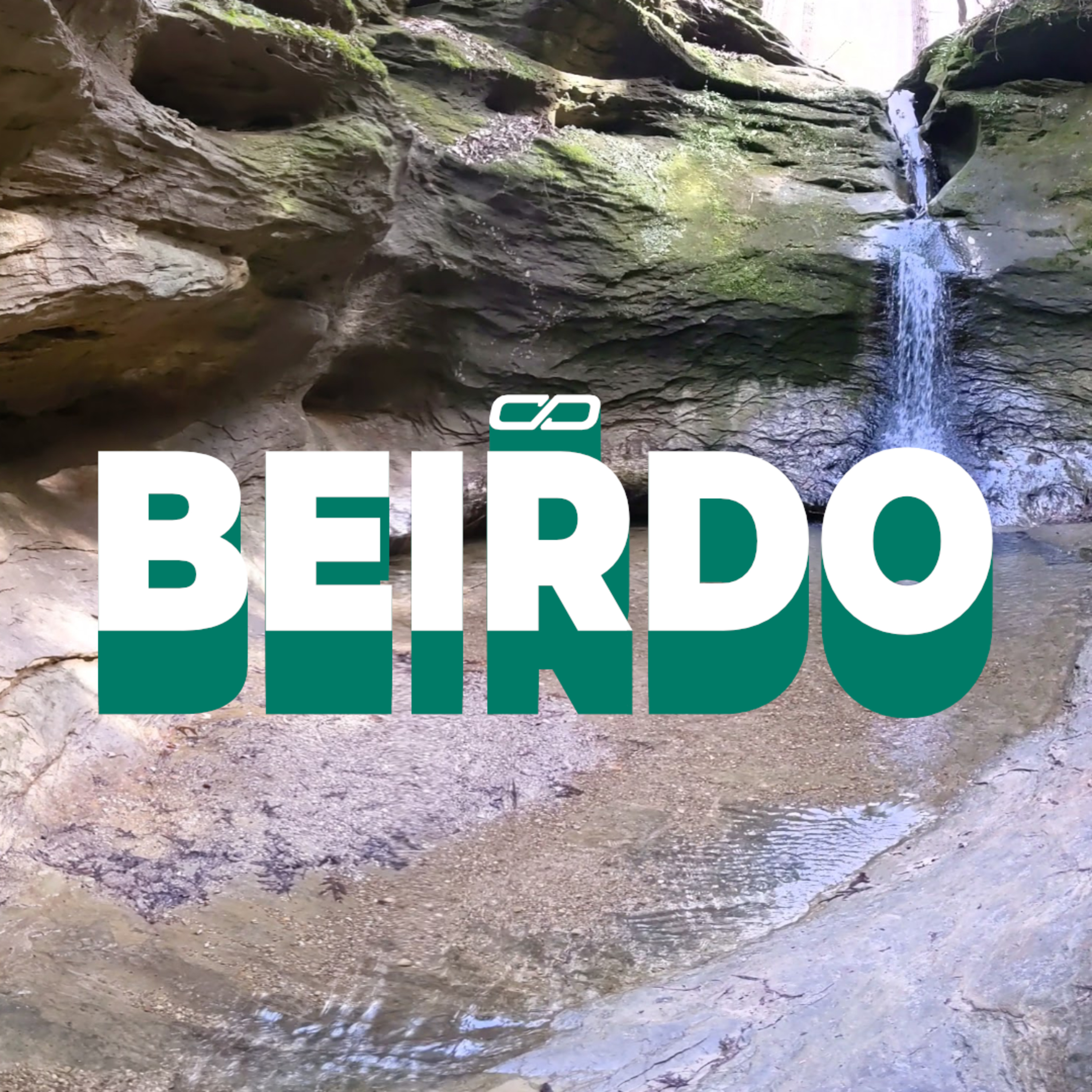 Conversation Pit w/ Danfinity