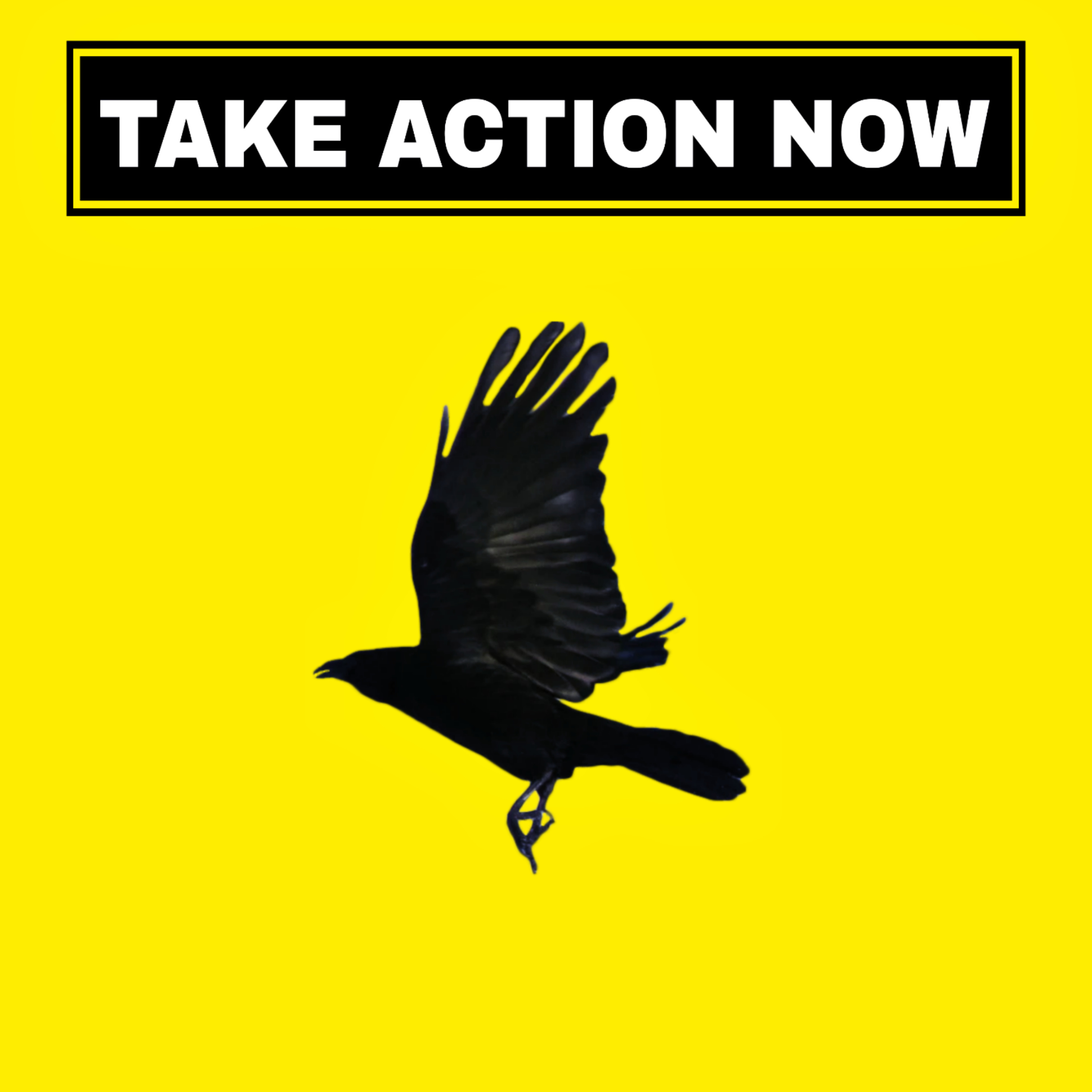 TAKE ACTION NOW! episode artwork