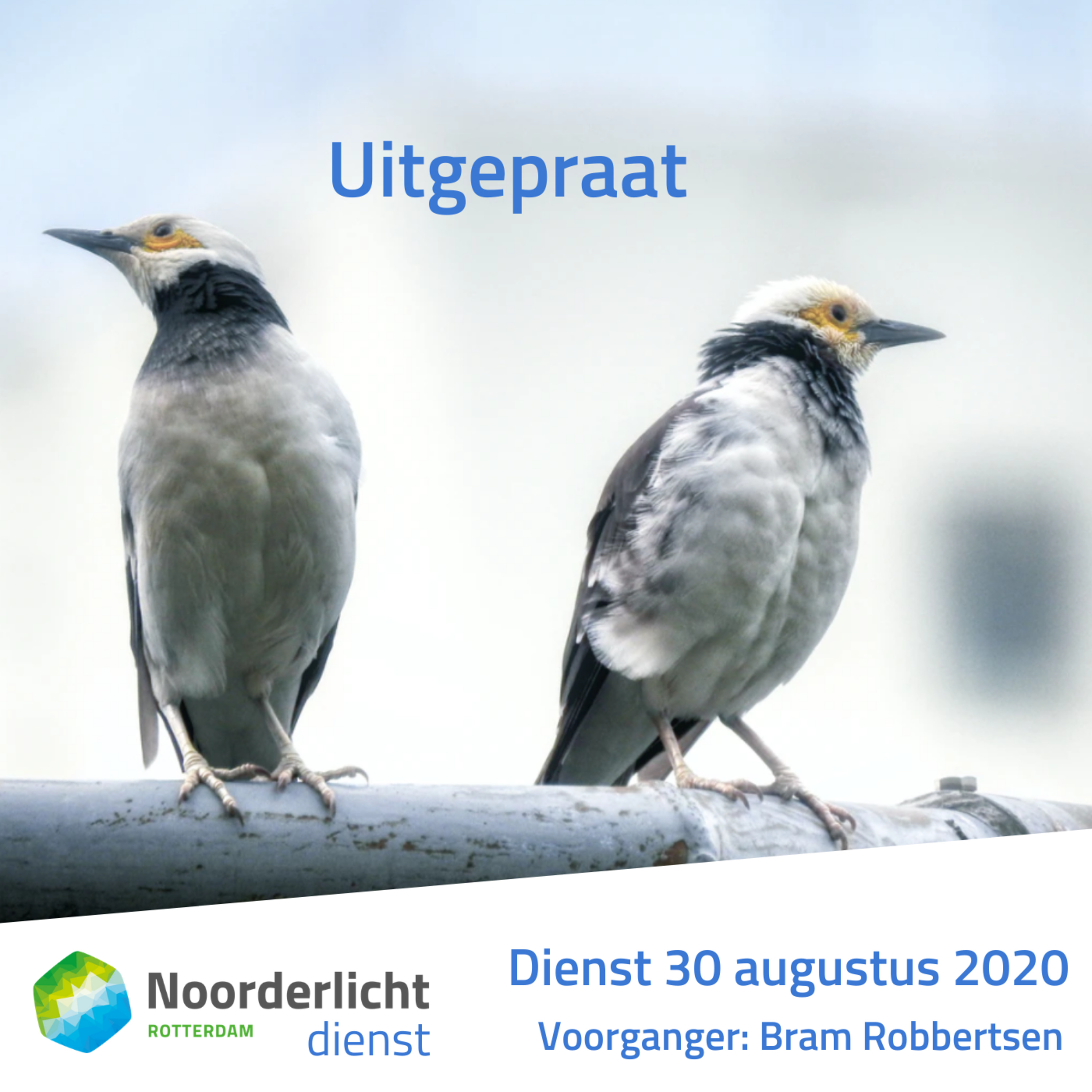 Noorderlicht Blijdorp Preken