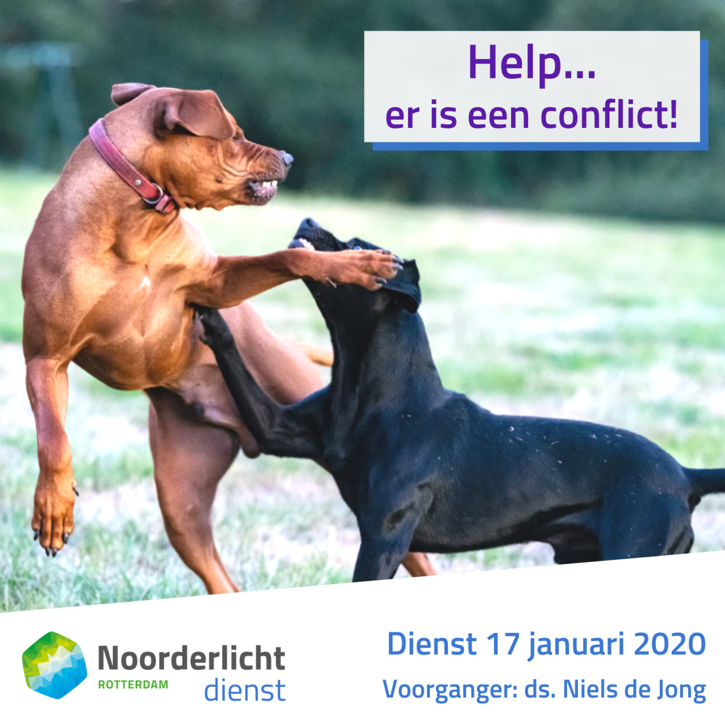 Noorderlicht Blijdorp Preken