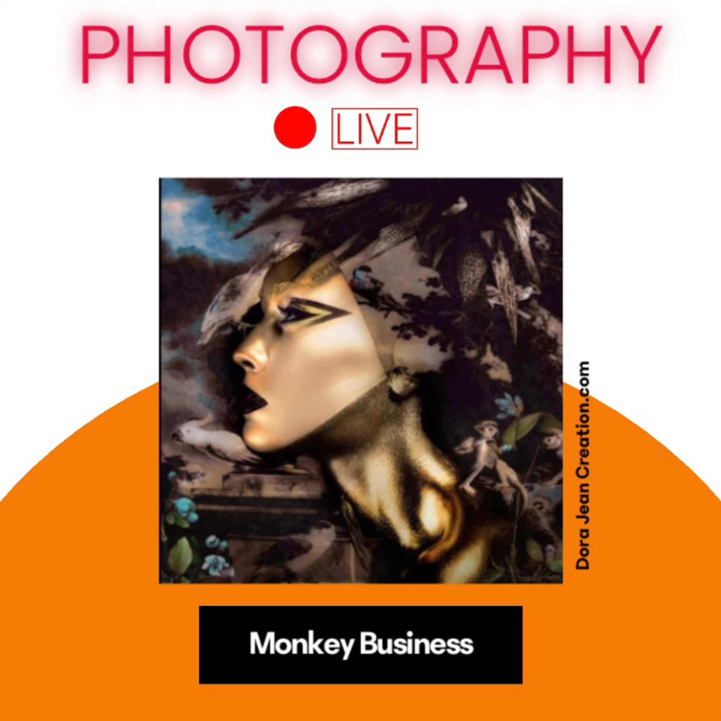 Monkey business episode artwork
