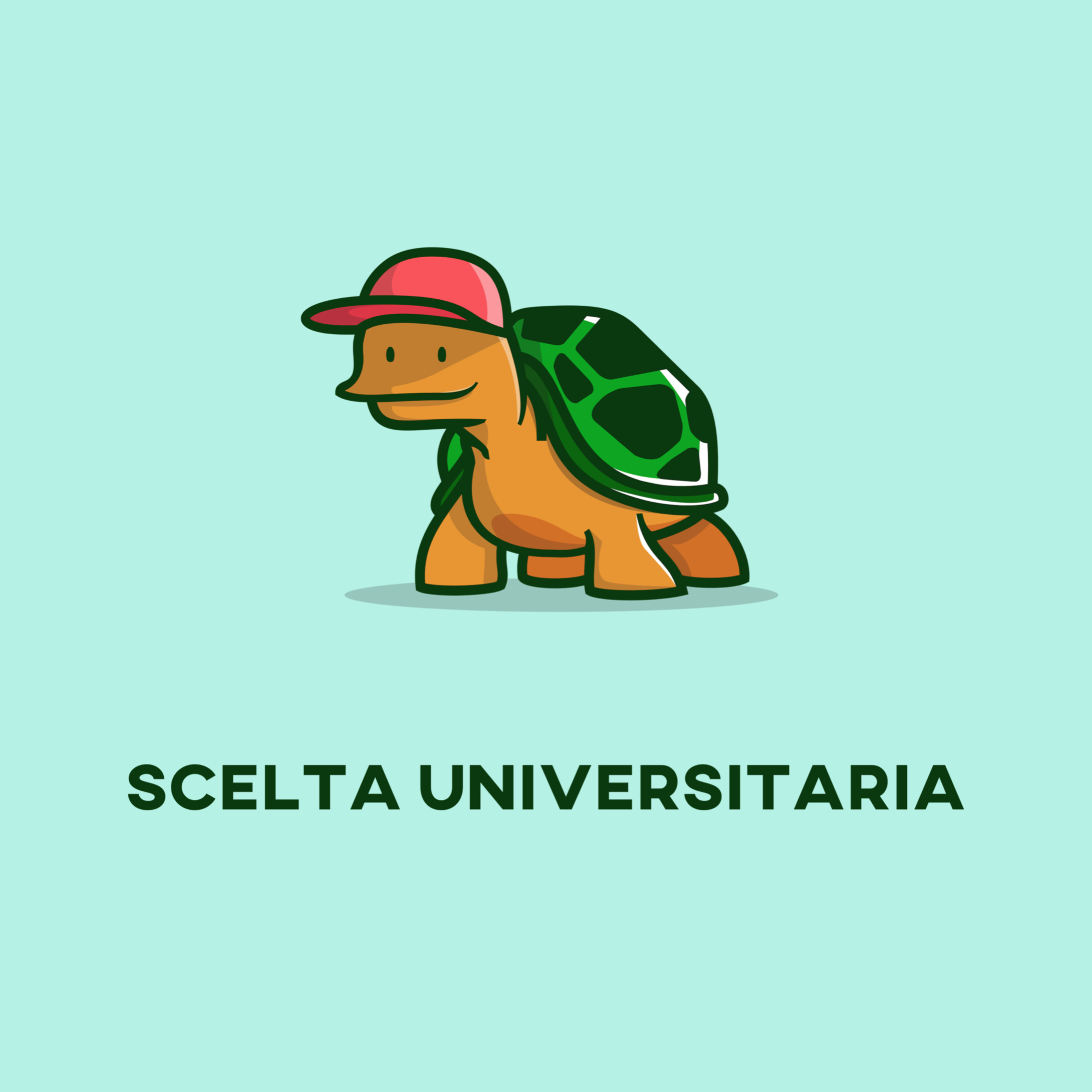 Scelta (e vita) universitaria