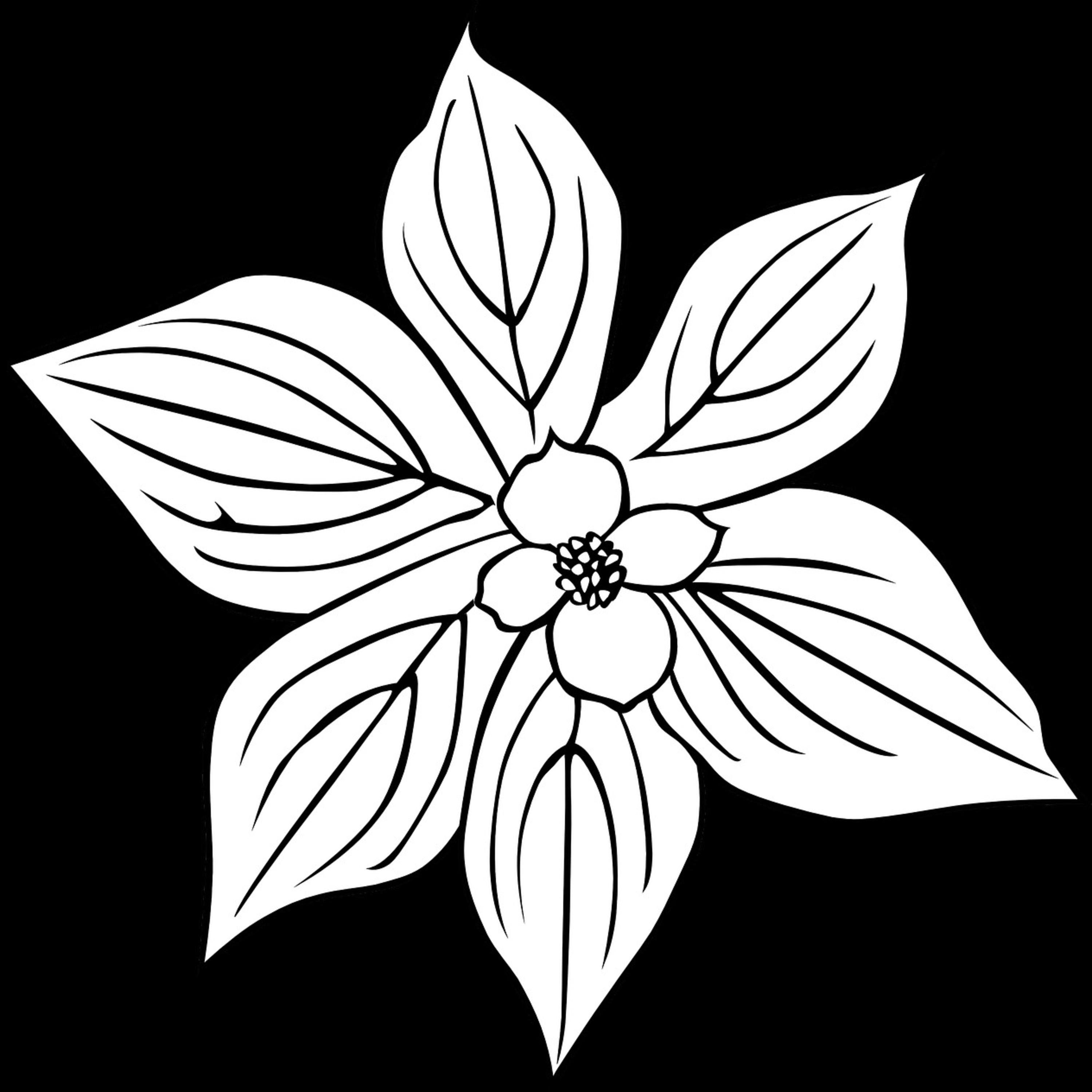 Acandra Sanuika