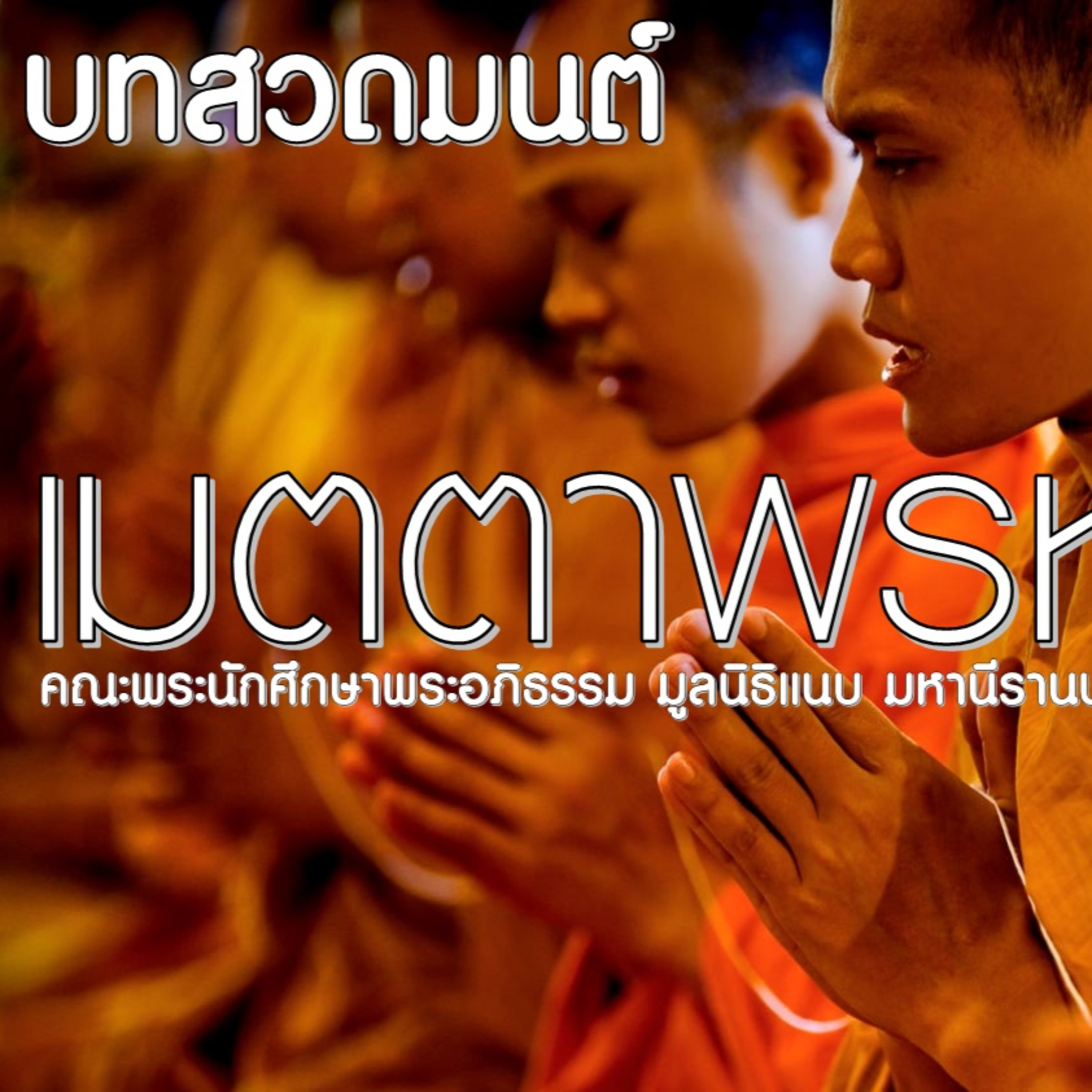 บทสวดเมตตาพรหมวิหารภาวนา – อนุรักษ์ธรรม episode artwork