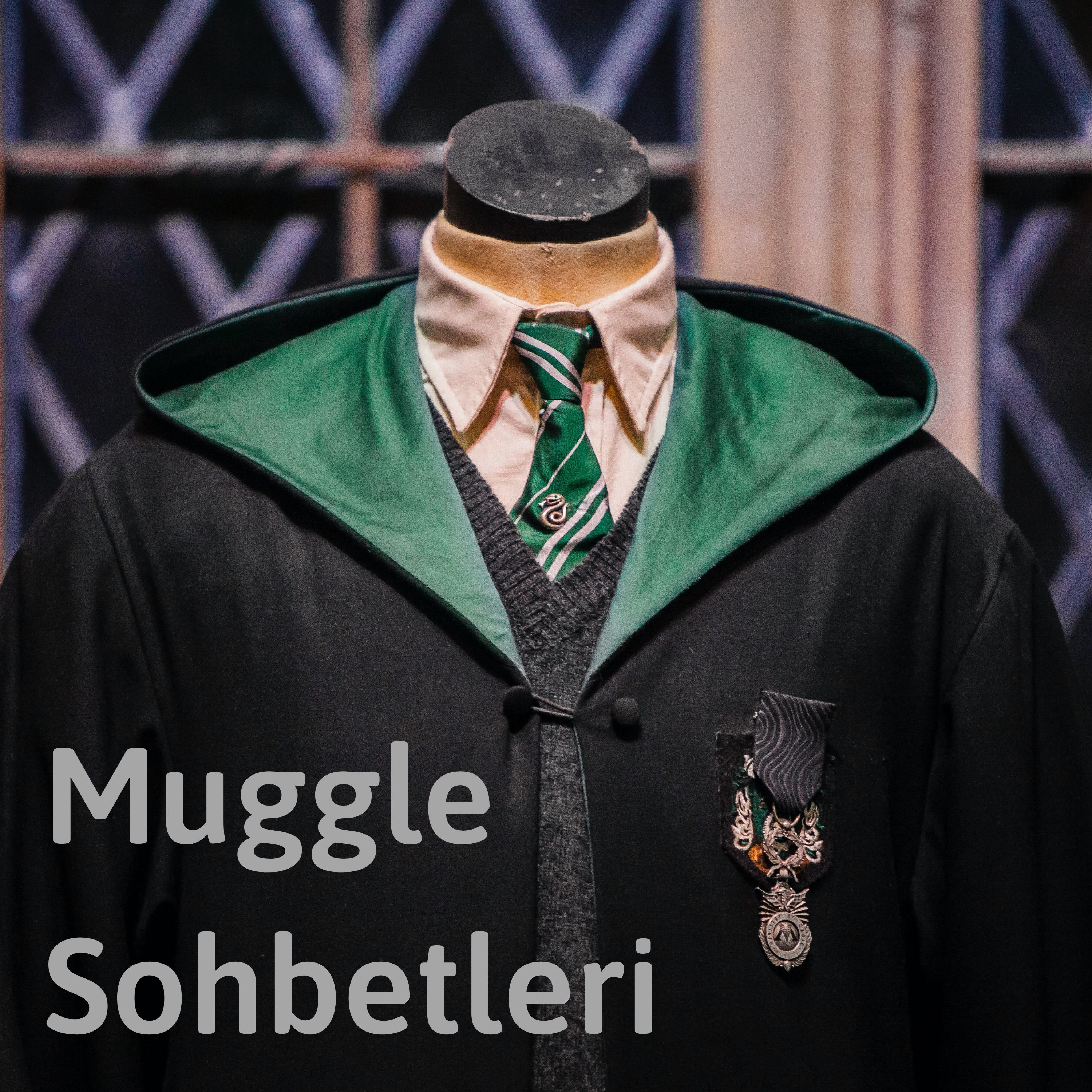 Muggle Sohbetleri #3 Slytherinler de Sever episode artwork