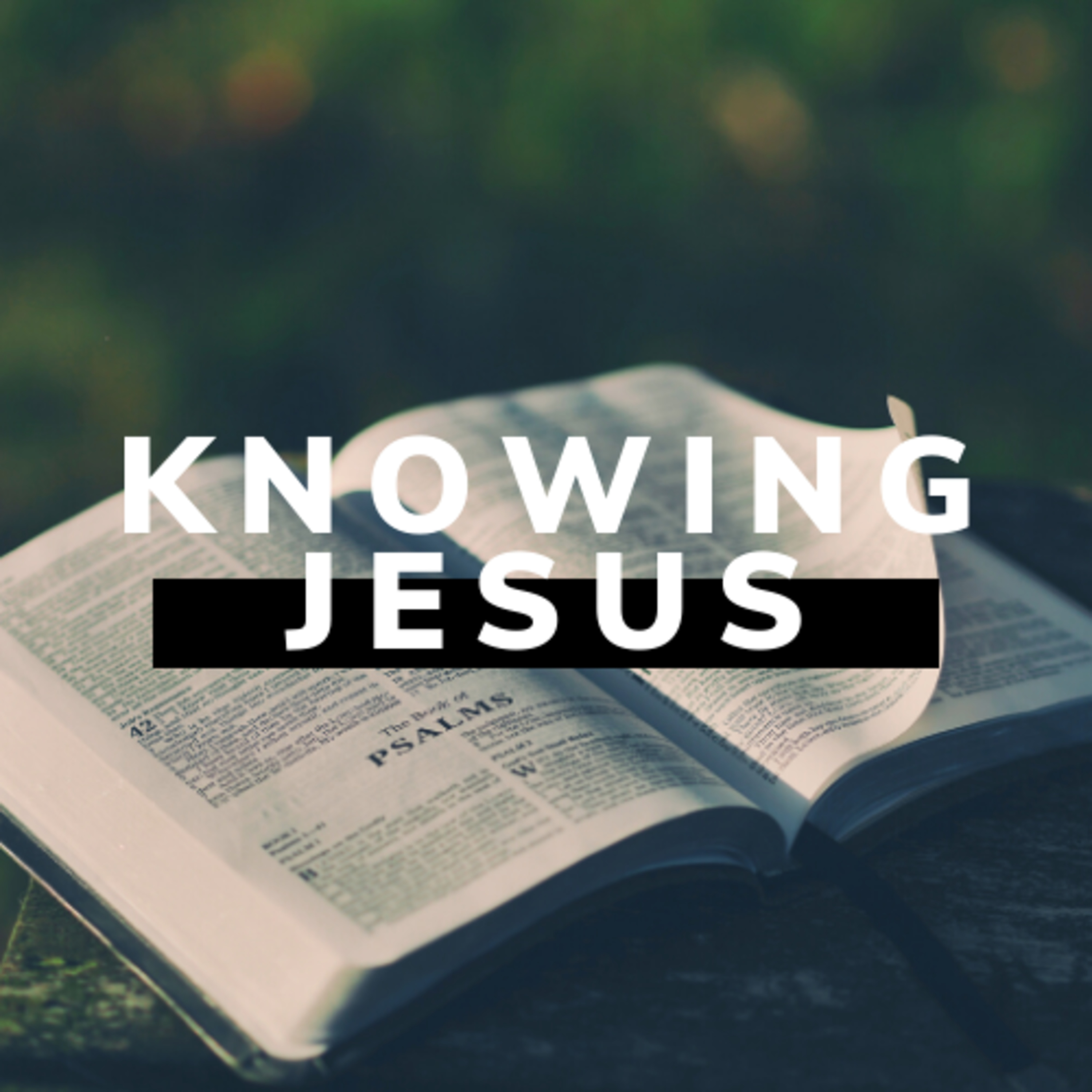 Knowing Jesus - Why Should You? episode artwork