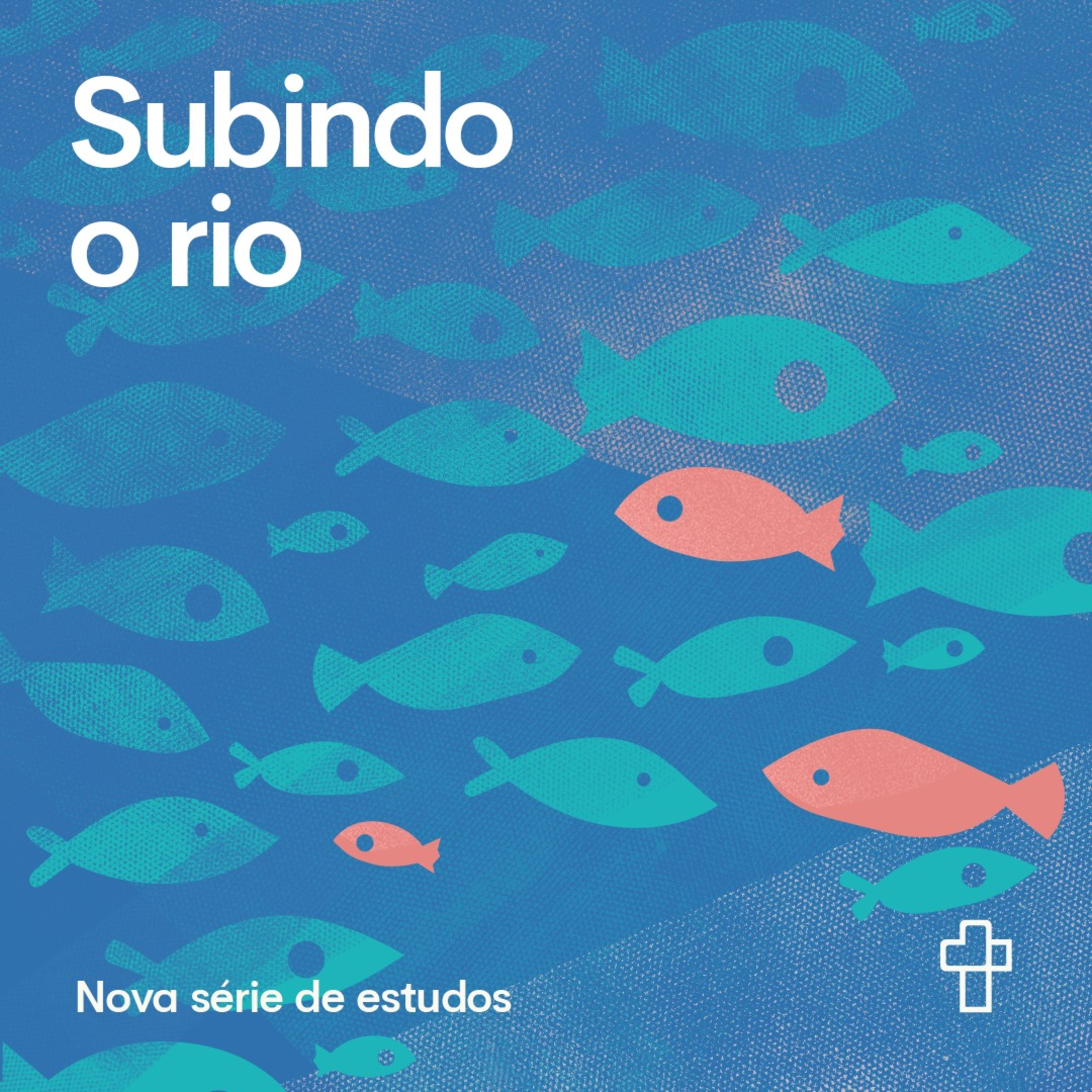 Discriminação | Subindo o Rio episode artwork