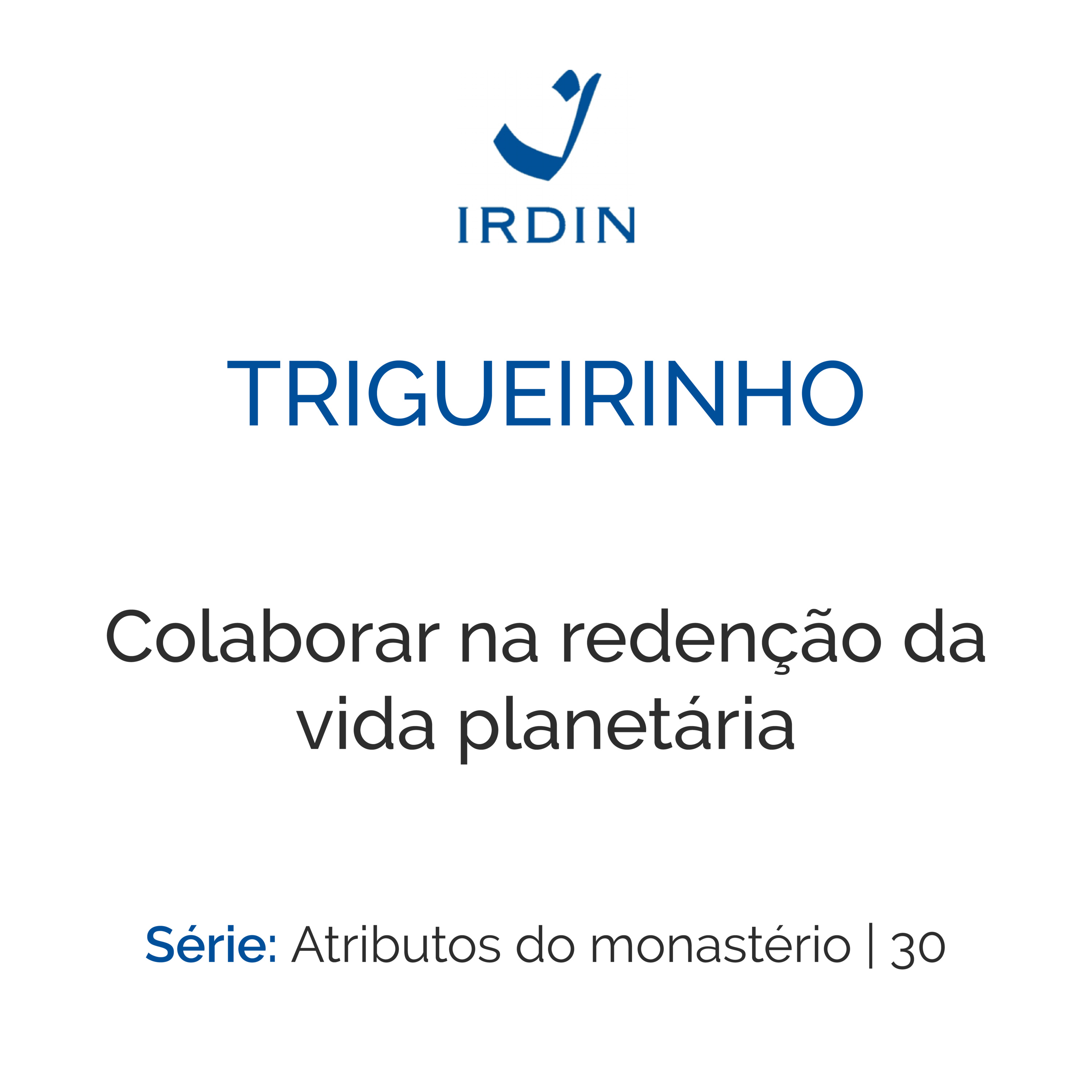 Colaborar na redenção da vida planetária
