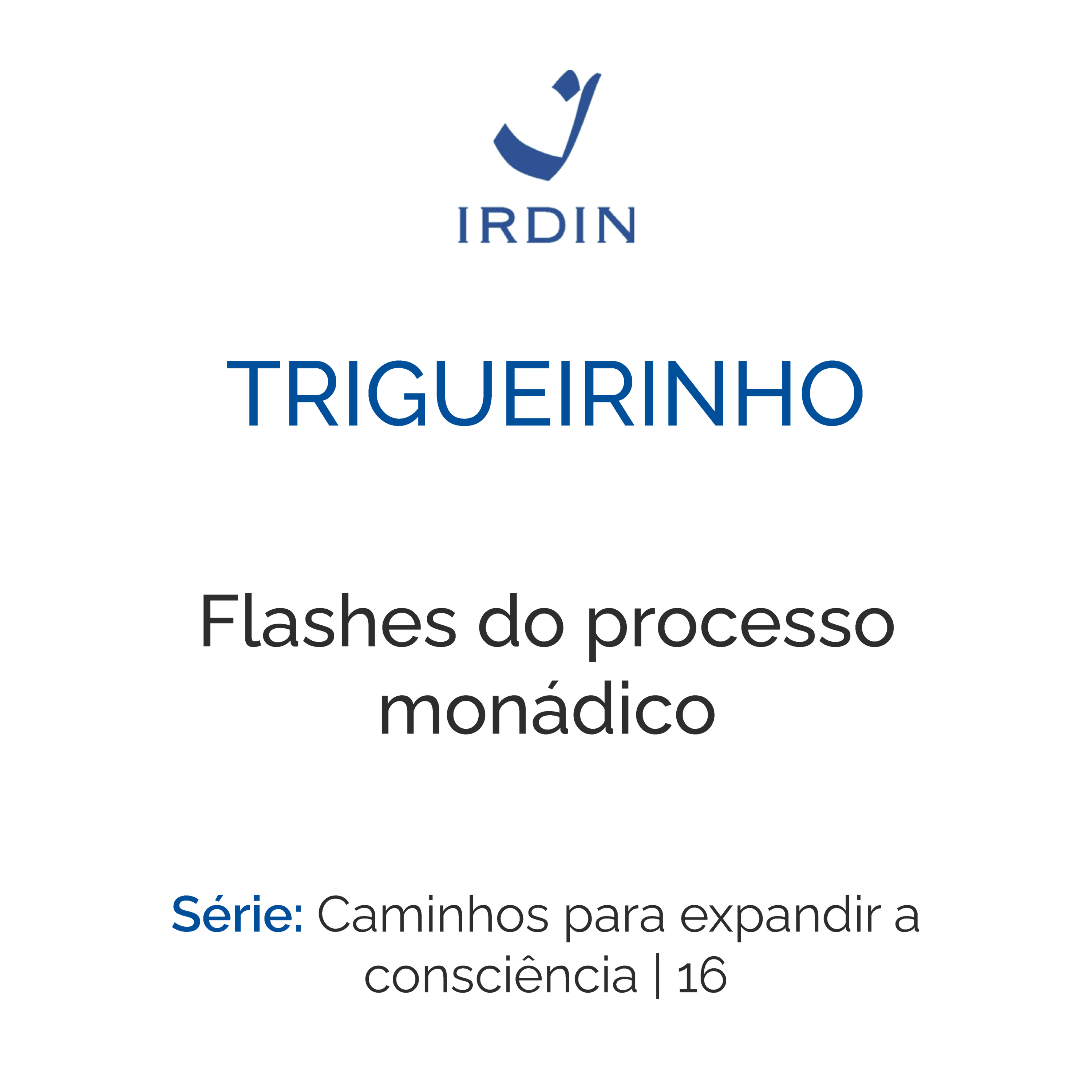 Flashes do processo monádico episode artwork
